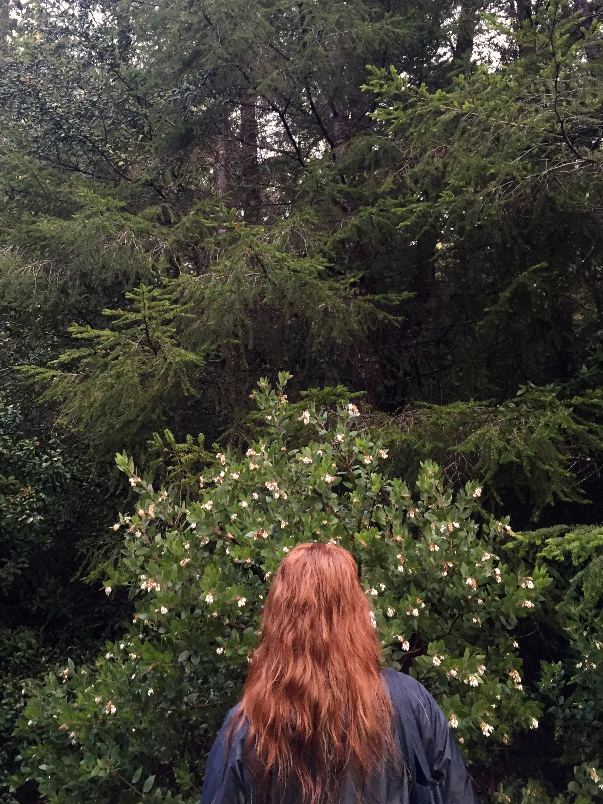 Maddy & Manzanita