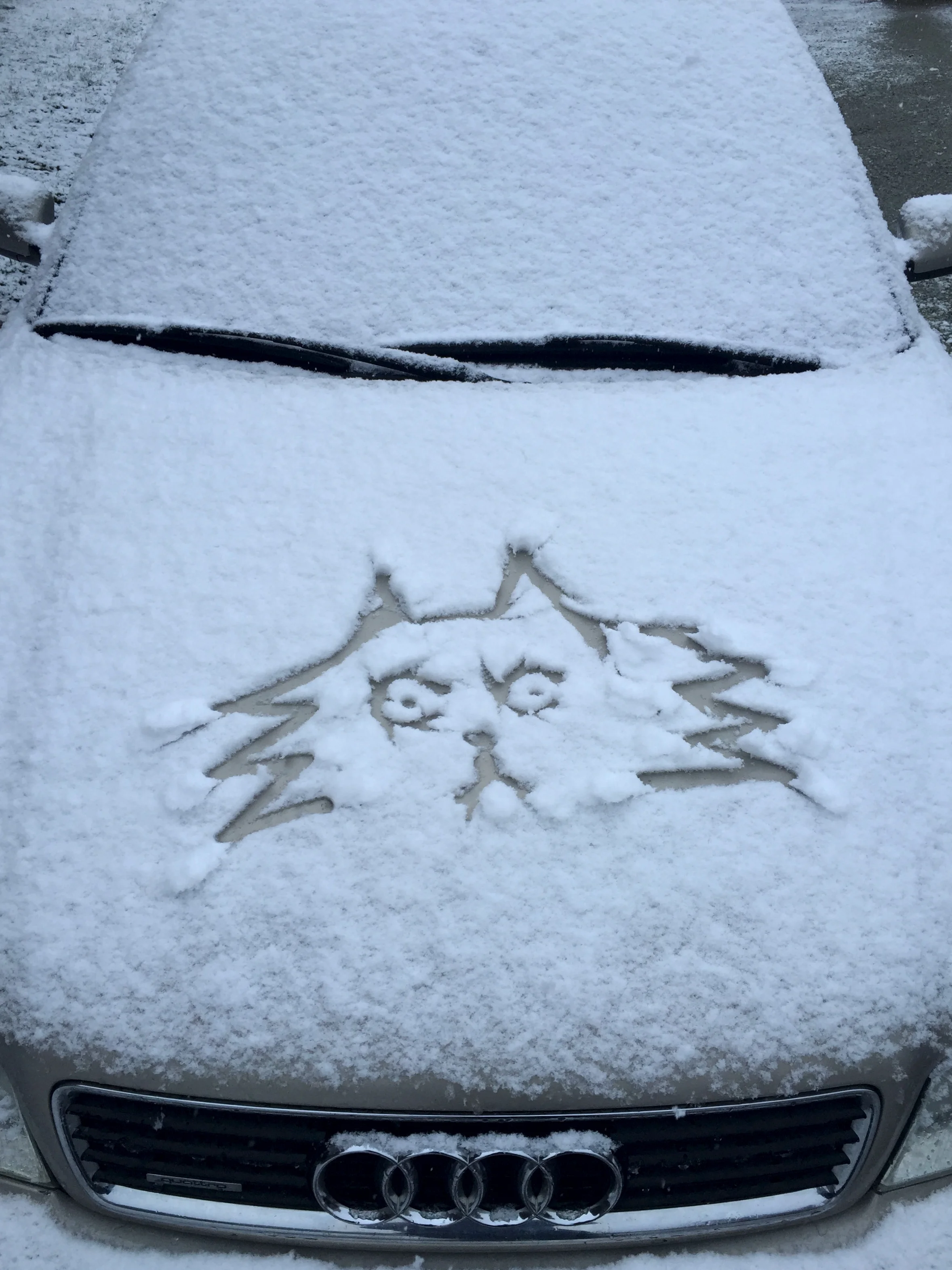 I on this day refrained from drawing a penis (which is what I usually do when Rama's car is a canvas, and which he hates so much ).