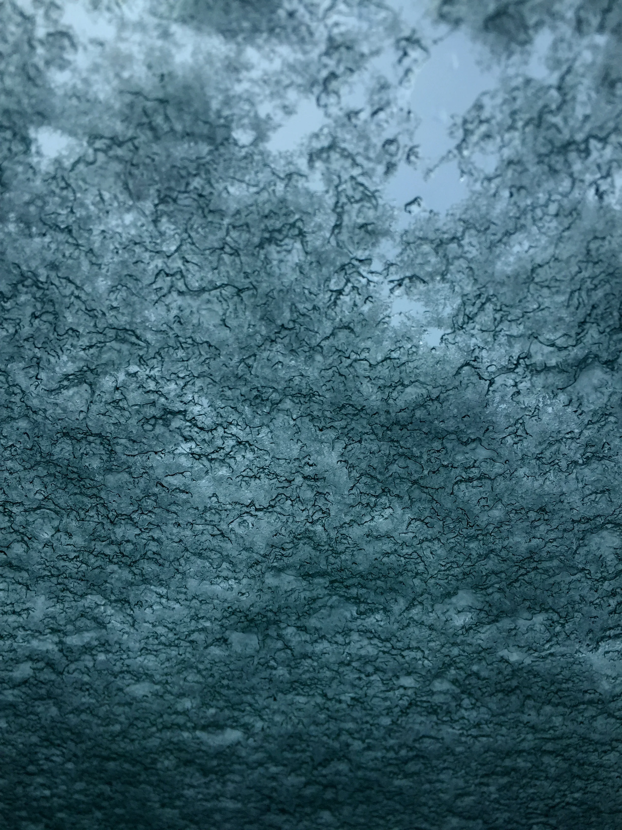 Windshield from the inside.