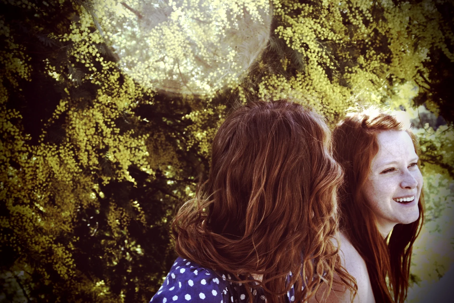 photo by Courtney Cerruti