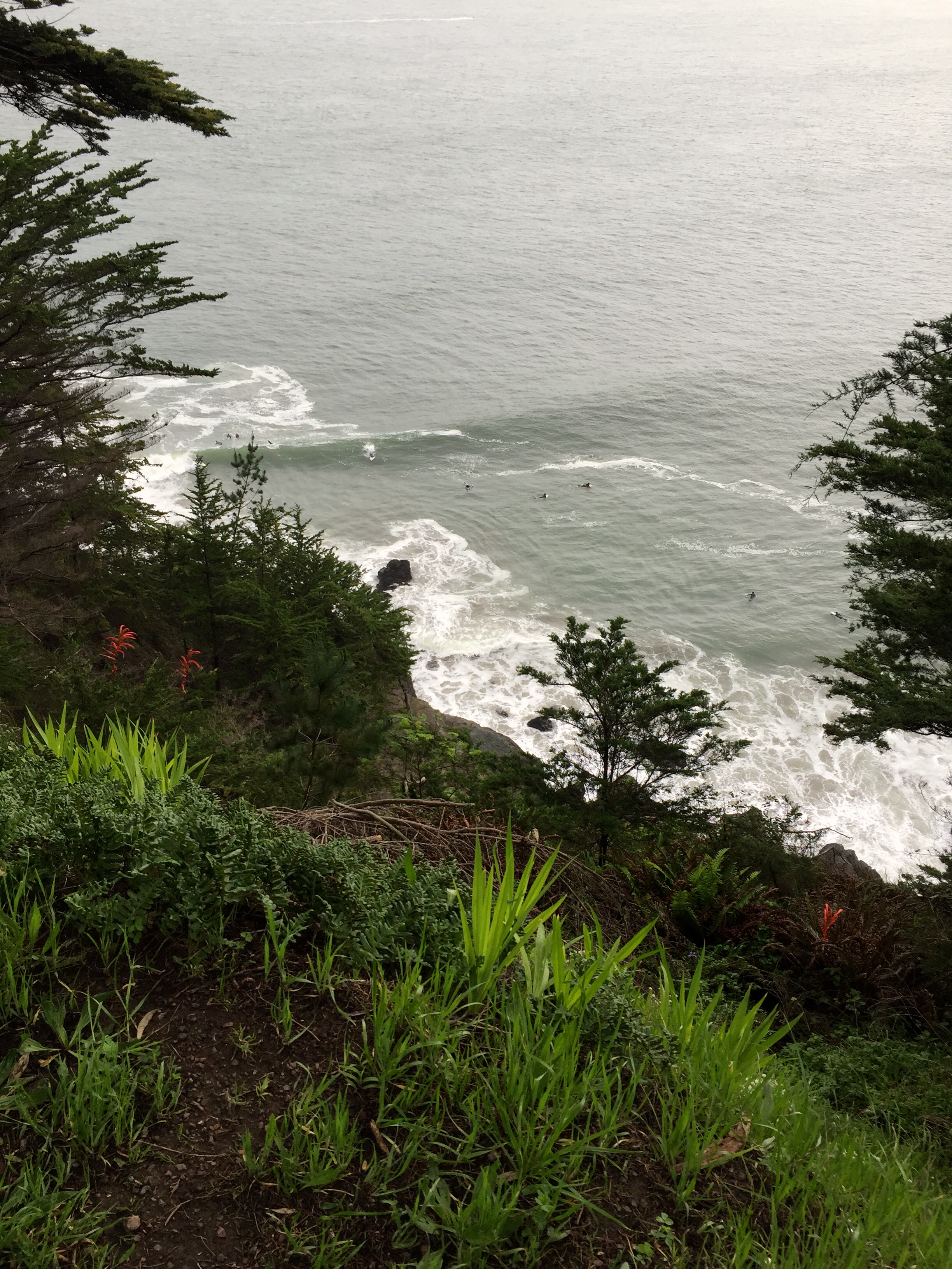 We came upon another angle on the wave; one interesting thing about surf lingo is the waves that come through a designated surf spot, and the surf spot itself, are referred to as "the wave," singular. It makes sense--the underwater landscape contributes to the shape of the waves that pulse through, giving them a repetitively surf-able or un-surf-able structure.