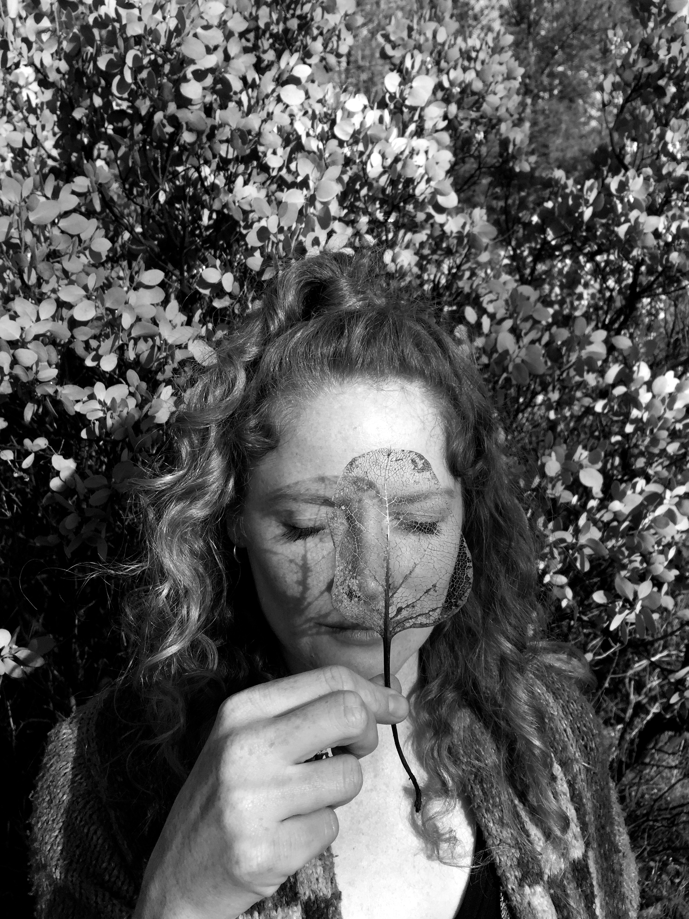 Very cool leaf leftovers: last year's "wyethia mollis" (Ramz had a good laugh at that) or "woolly mule's ear." Had to hit it with a little b&w.