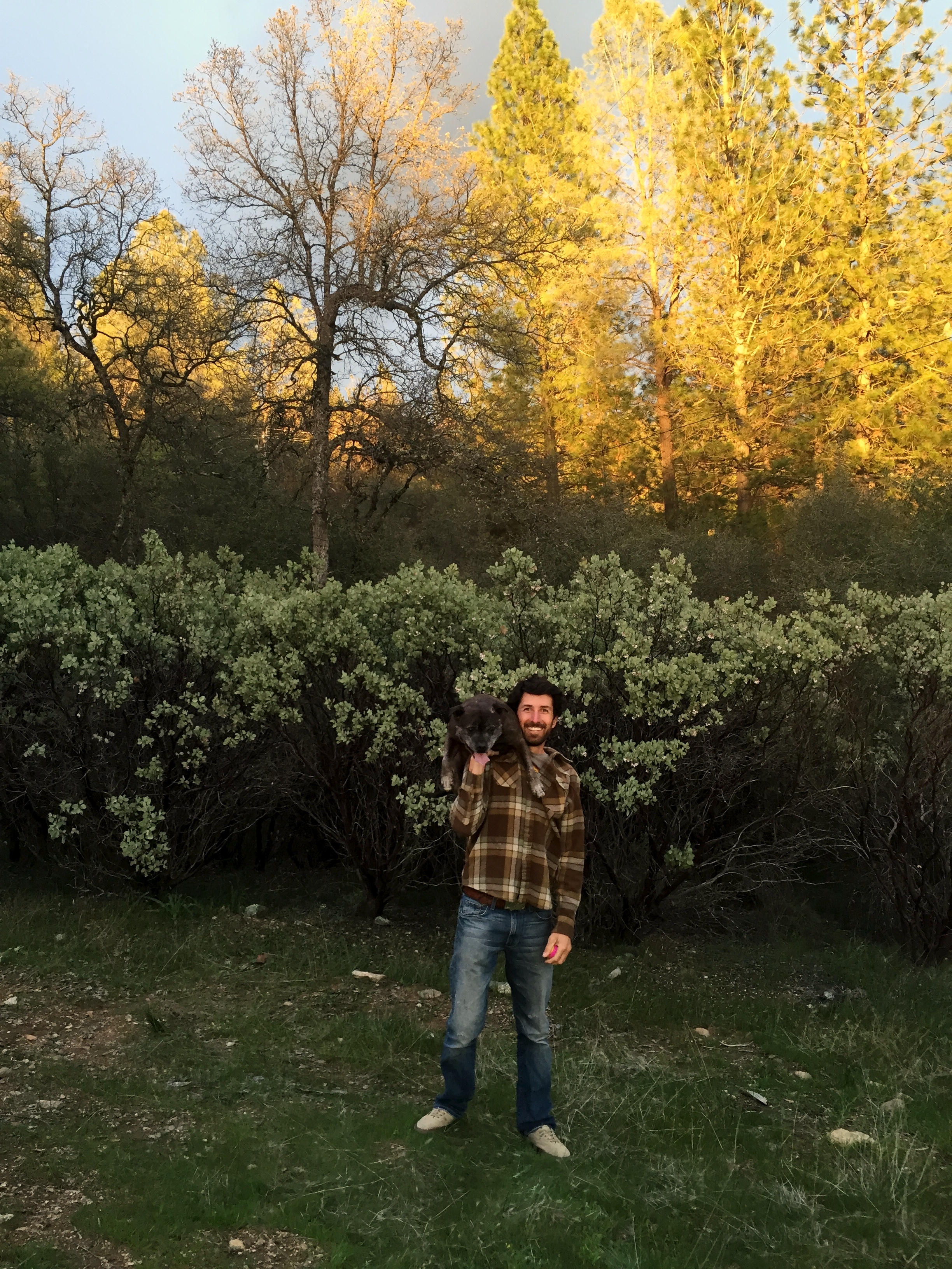 I was super into the manzanita, which was flowering delicately.