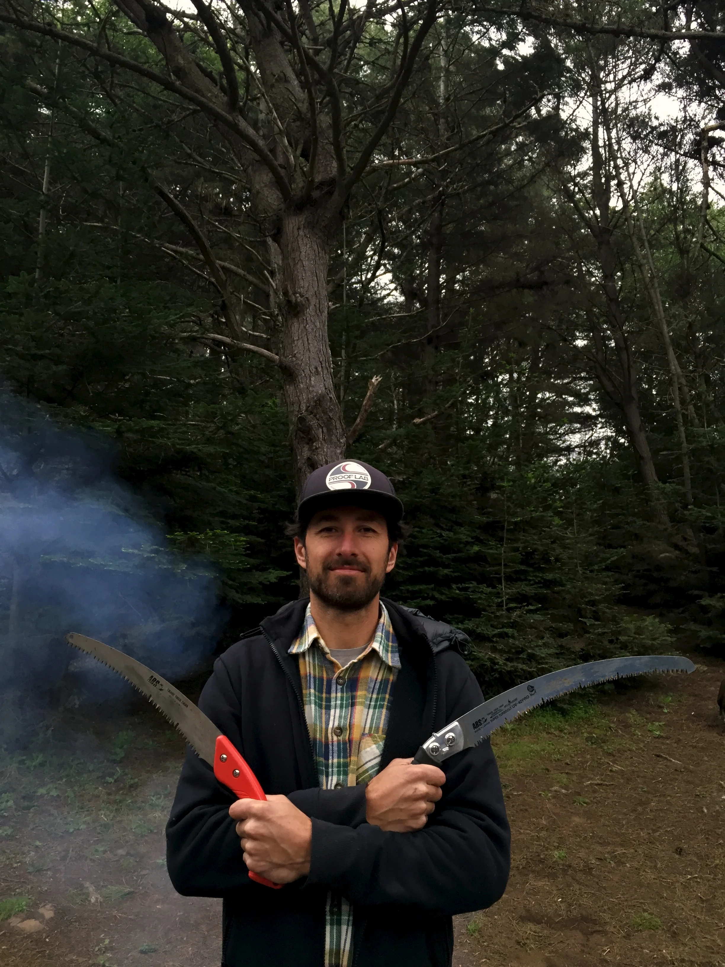 No Collecting of Firewood, unless you're an arborist?