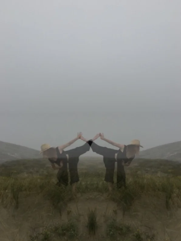 (These actually are two subtly different images, with one flipped.)
