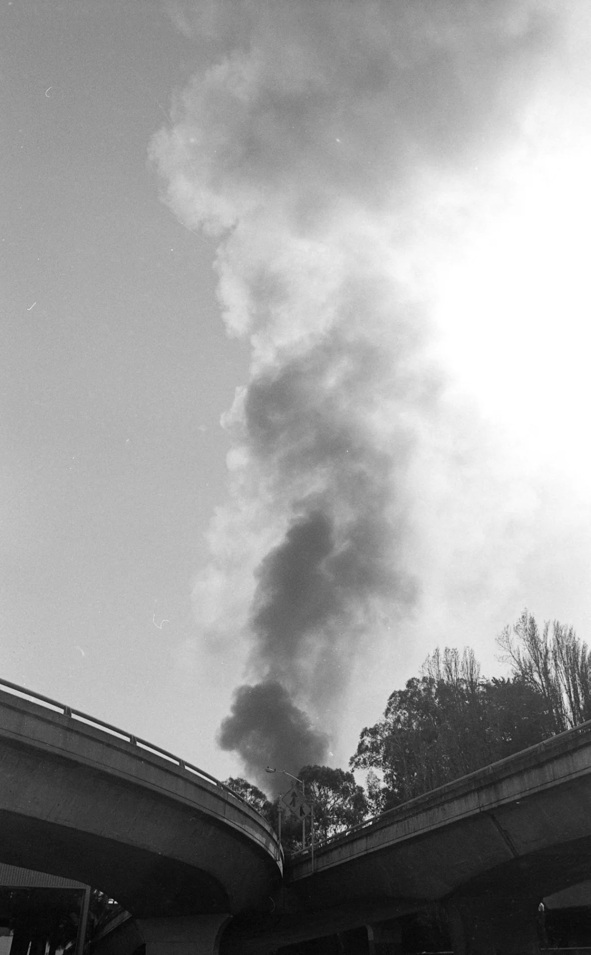 tumblr_n7bwloOoSD1qd5w5wo1_1280.jpg