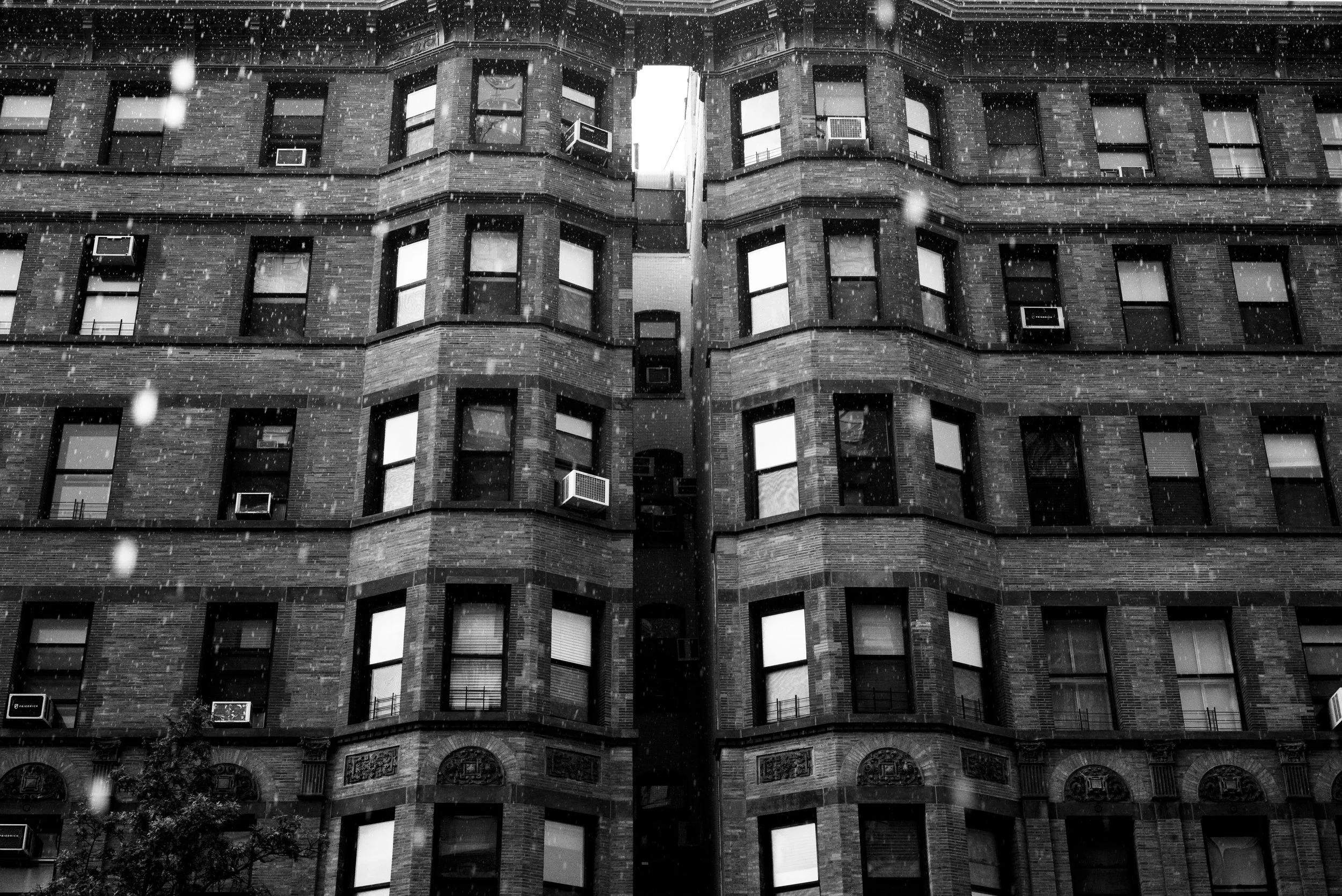L1001699.jpg