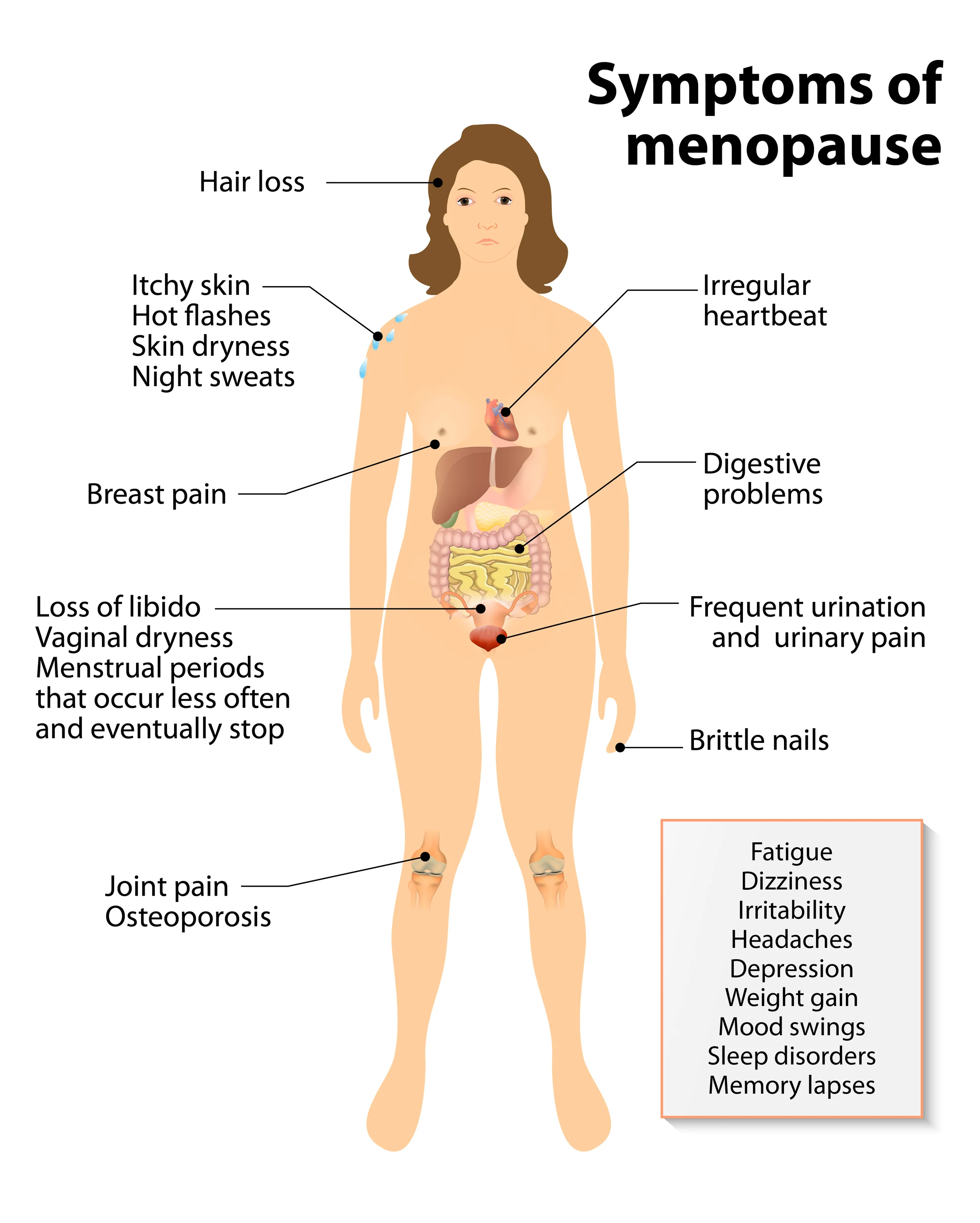 Symptoms of Menopause: Hot Flashes and Night Sweats, How Long Will They Last?