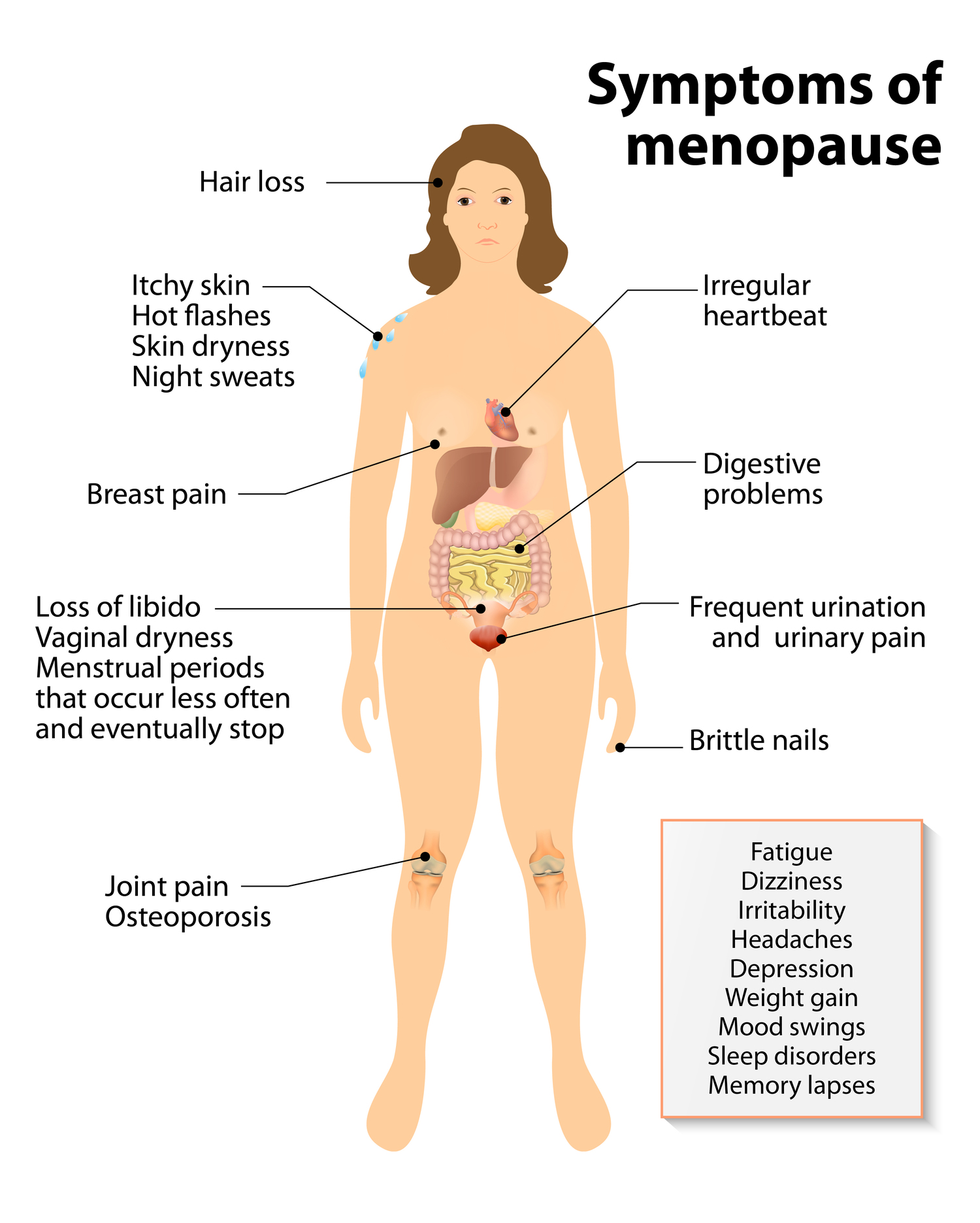 woonadres atomair Geweldig Symptoms of Menopause: Hot Flashes and Night Sweats, How Long Will They  Last? — Colorado Optimal Health
