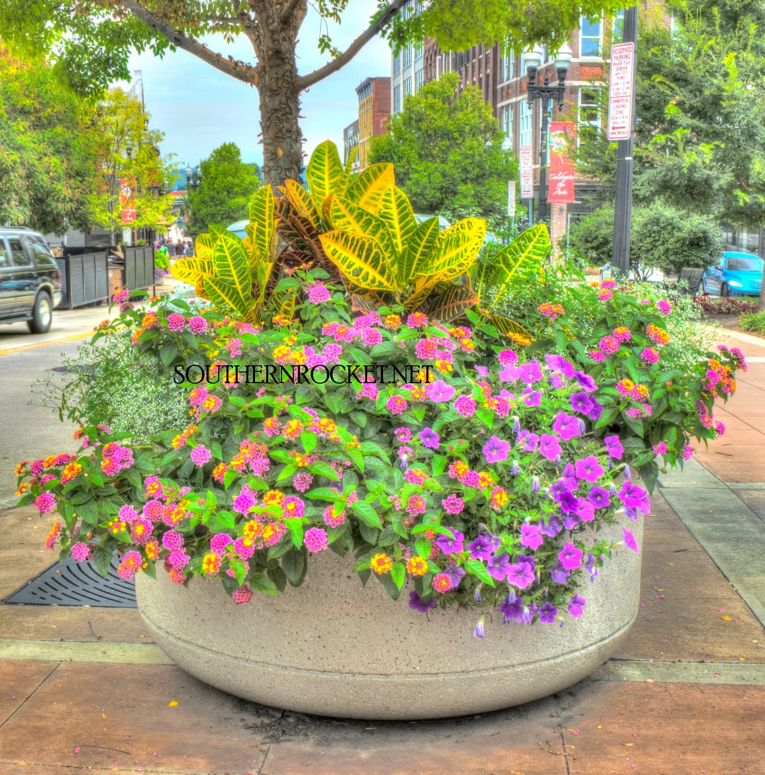Flowerpots - Gay Street Flower Pot 2.jpg