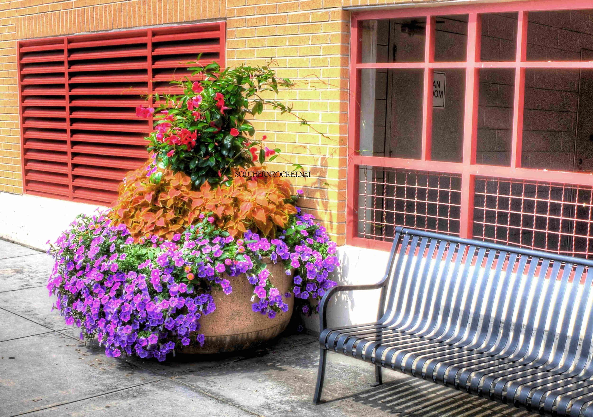Flowerpots 4.jpg