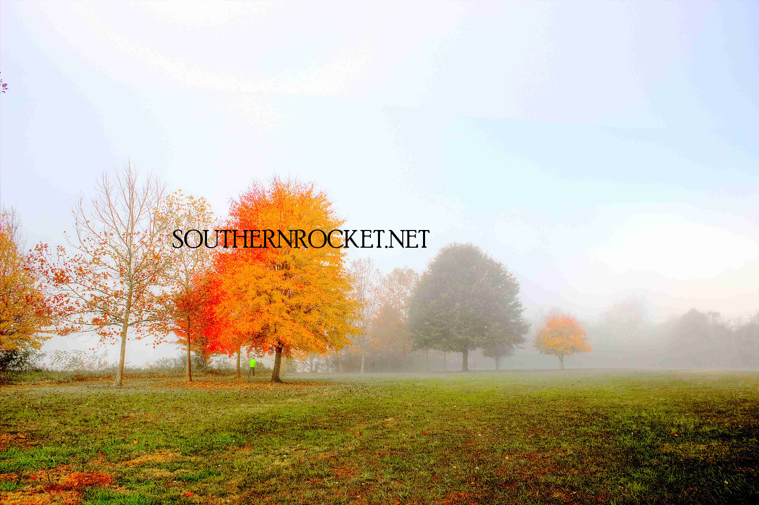 Autumn Morning Run.jpg