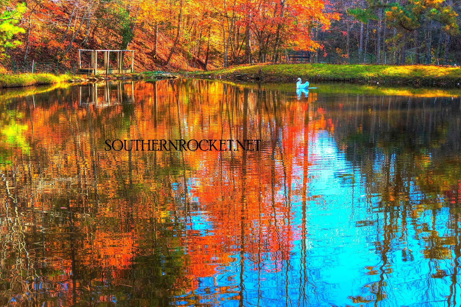 WS Swan Pond.jpg