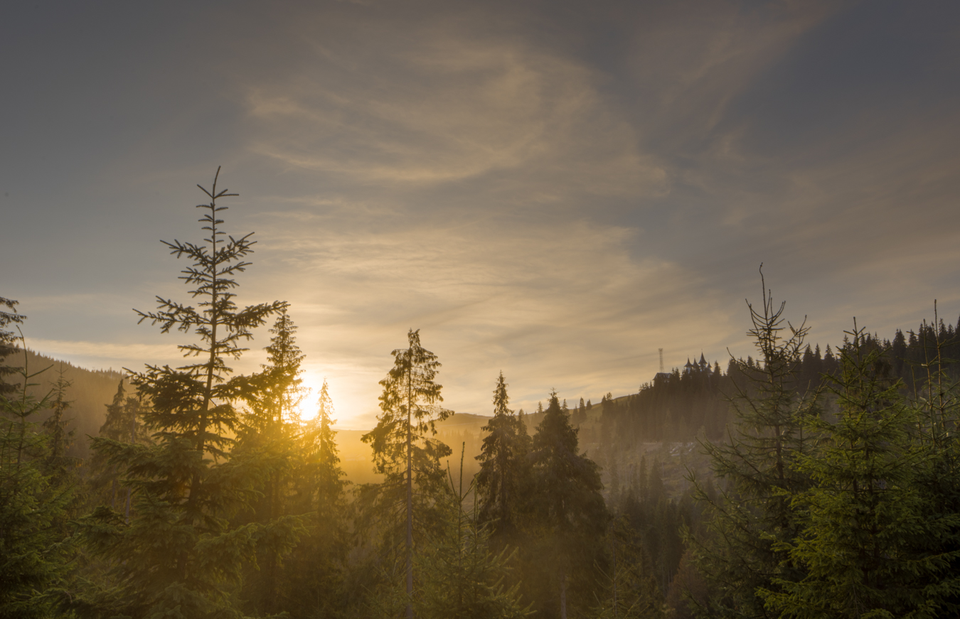 Sunset dream.jpg