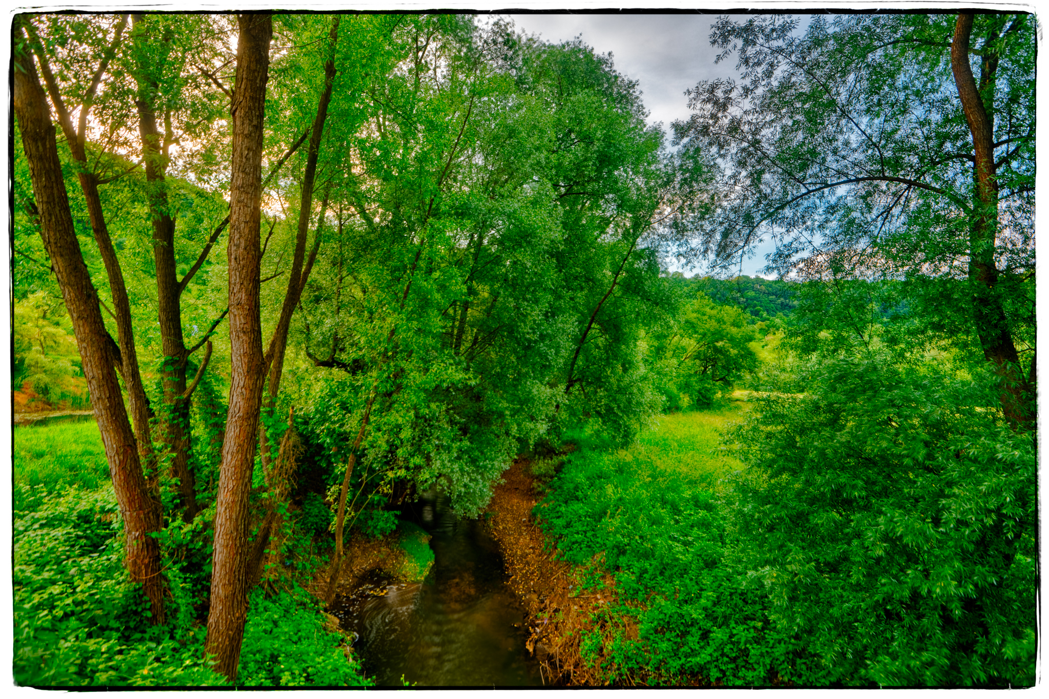 Forest river