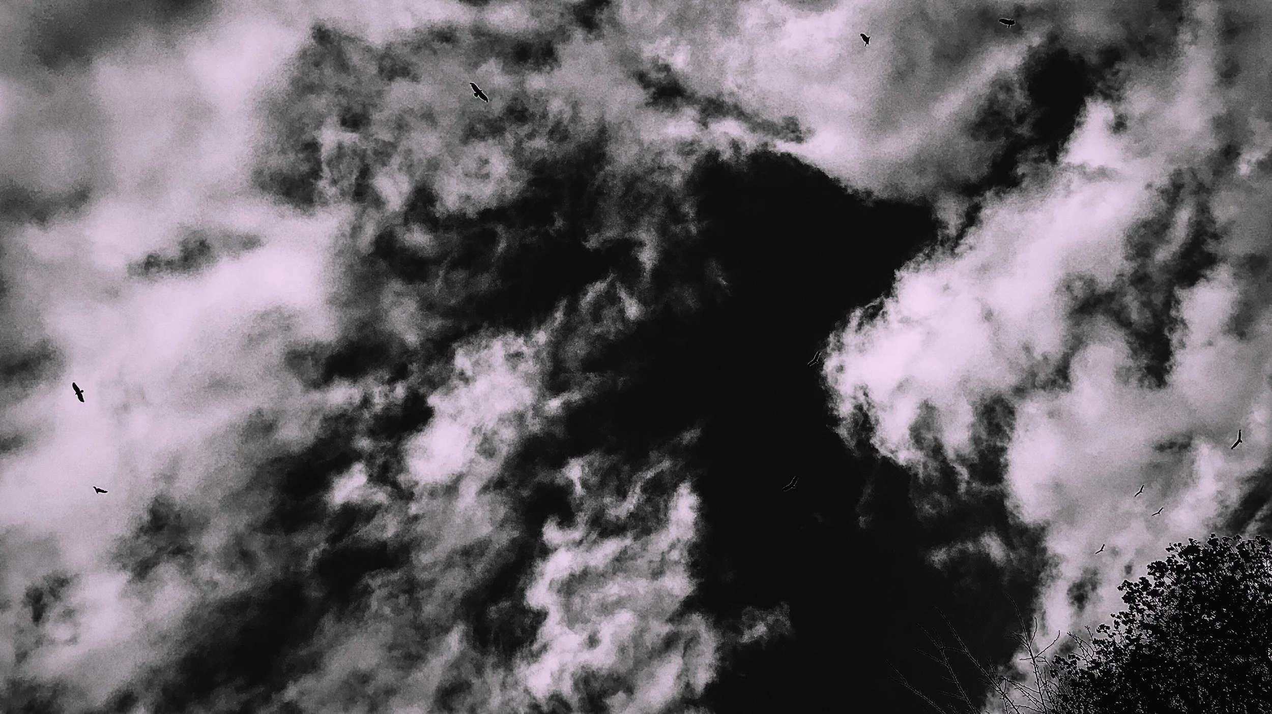 Broken Arts: The Artists of Toronto documentary