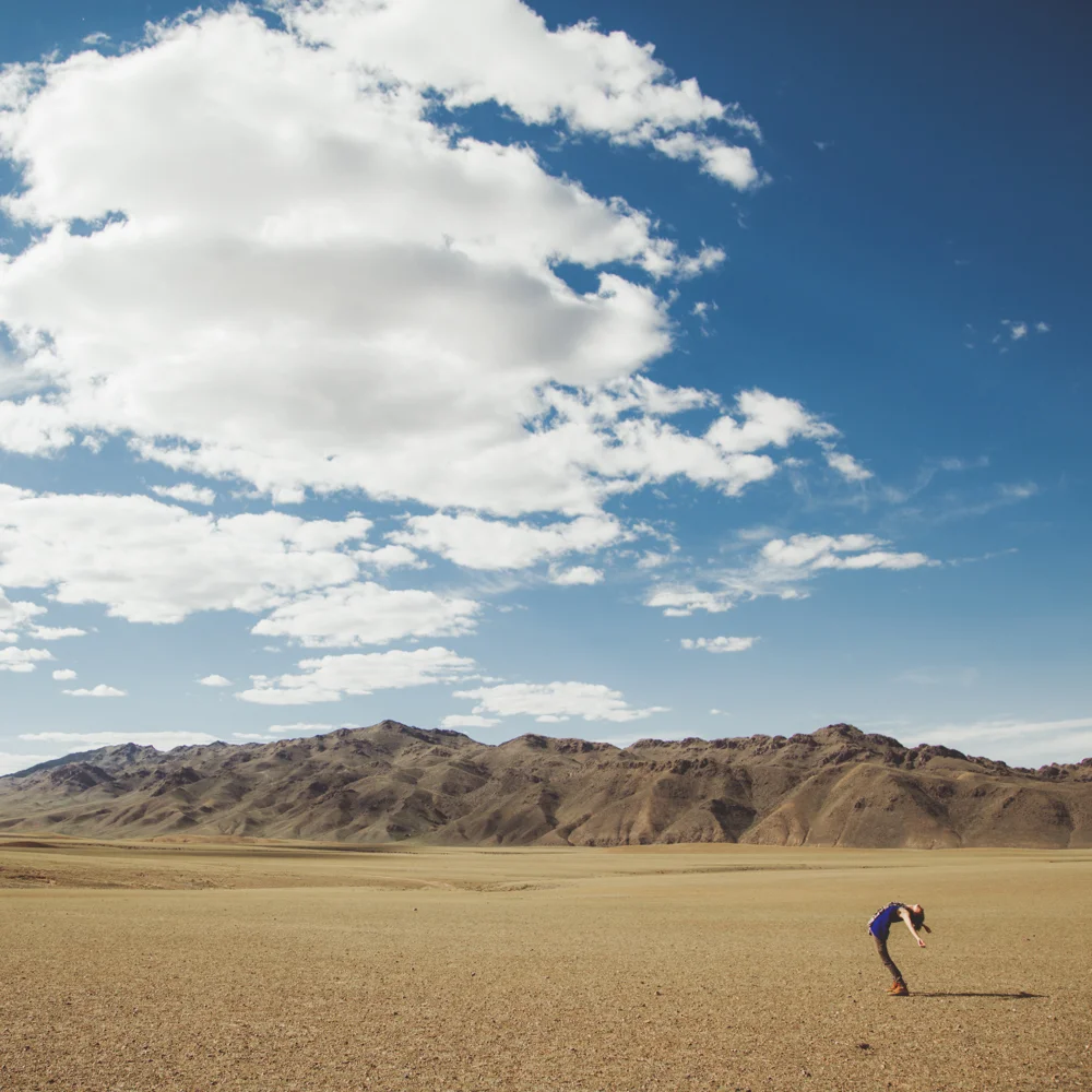 Fully open in the Gobi Desert, Mongolia
