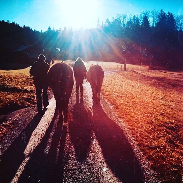 Bathing in the light of the new year! Wishing you all a wonderful 2020! Thanks to @lindsayfergusonmusic for the nice time .
.
.
.
.
.
.
.
#walking #berne #sunlight #retrostyle #sunshine #bliss #happynewyear #picoftheday