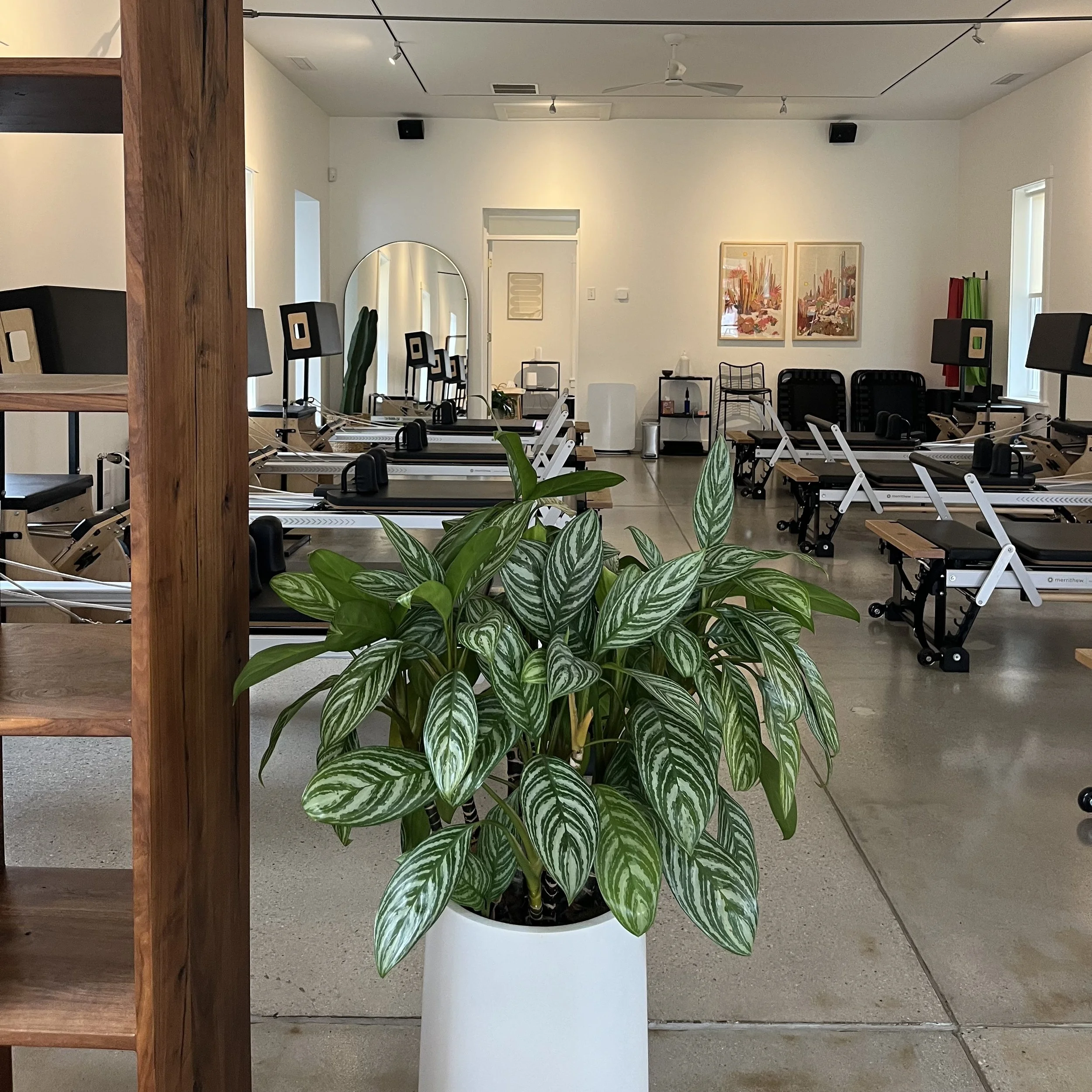 The Point Pilates - Image 2