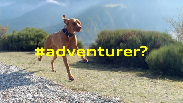 AUDI  Q2 #untaggable (Copy)