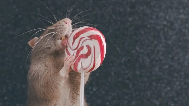 WE MAKE IT COOL (Copy)