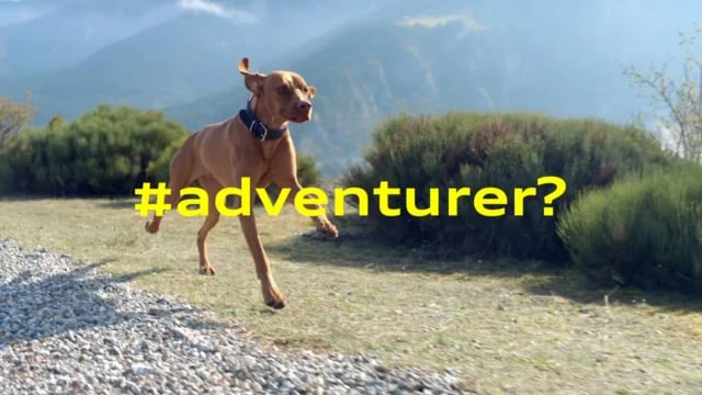 AUDI  Q2 - COMMERCIAL (Copy)