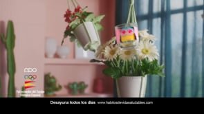 NOCILLA- MINIONS (Copy)