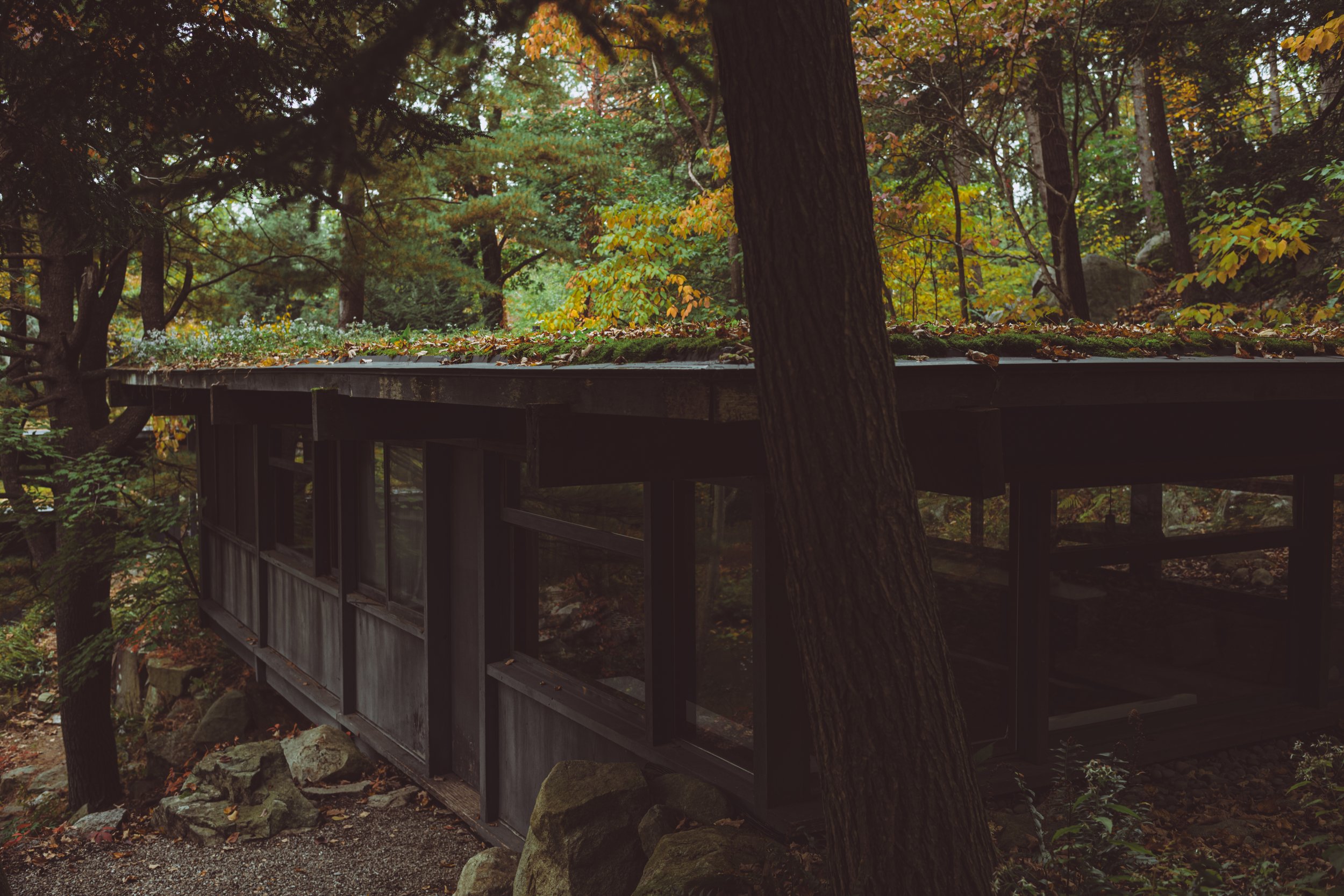manitoga joshrubin-04.jpg