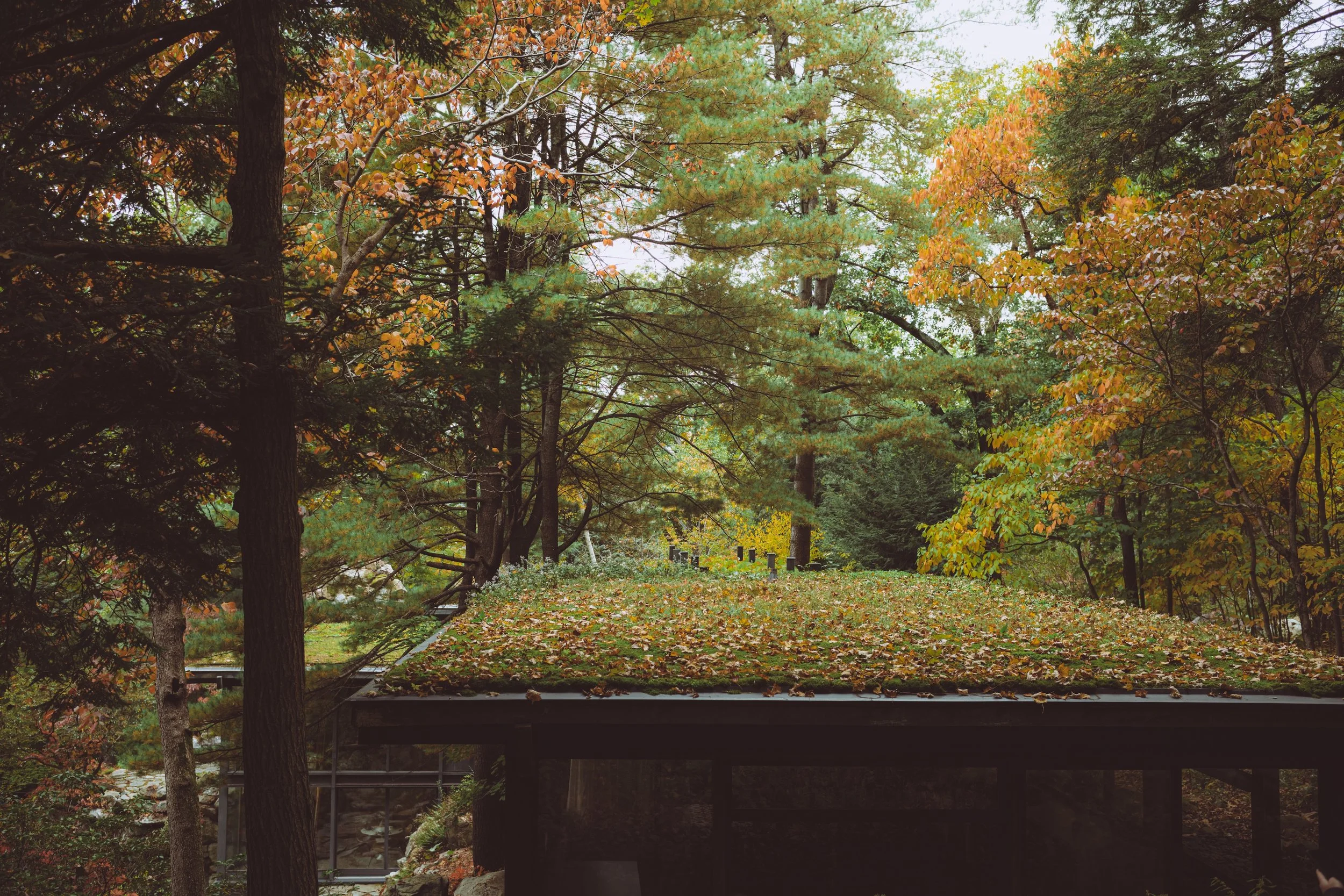 manitoga joshrubin-05.jpg