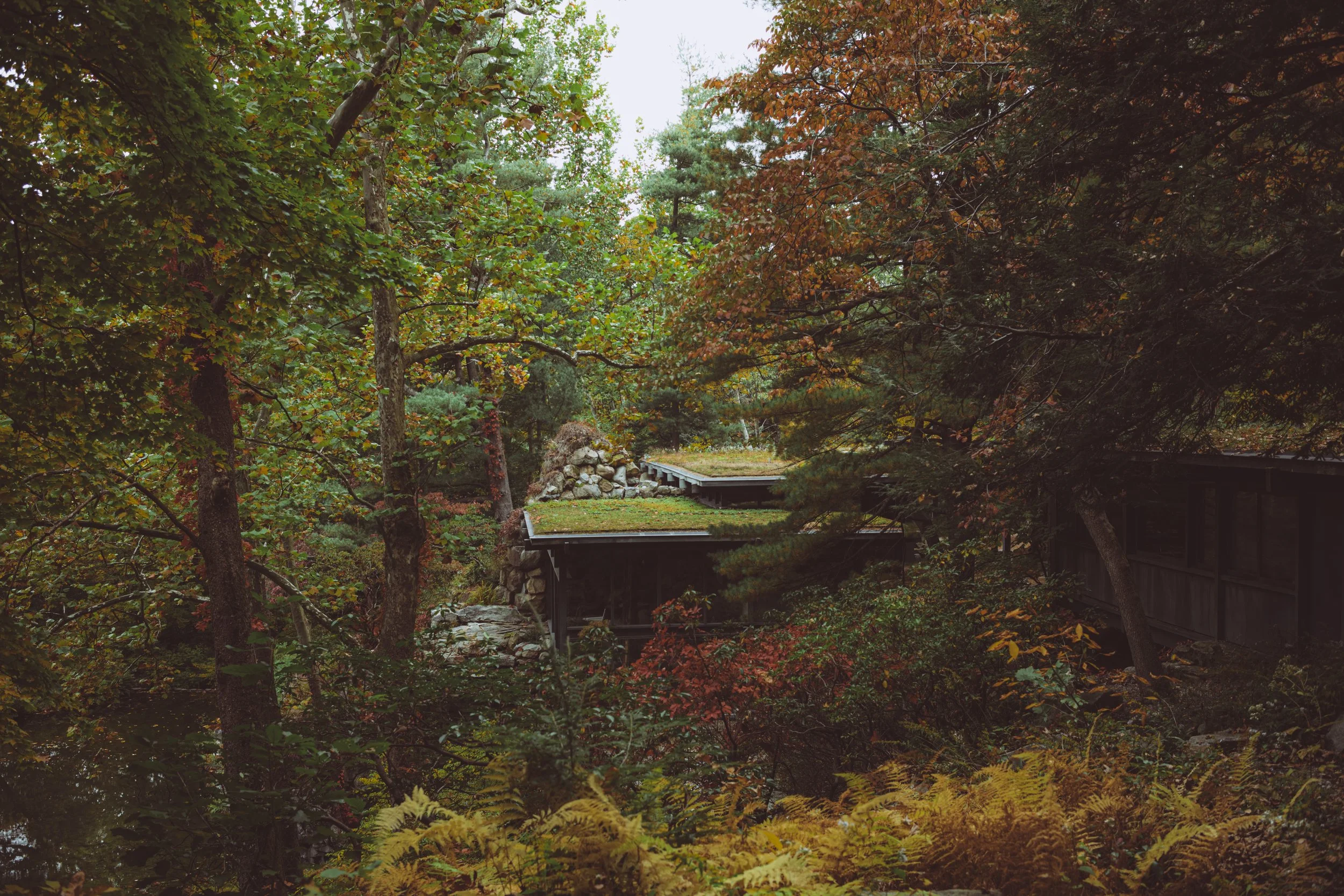 manitoga joshrubin-03.jpg