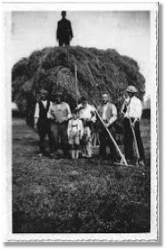  Cattle farming has been a Jakobs family business starting in the Netherlands in the 1800's. 