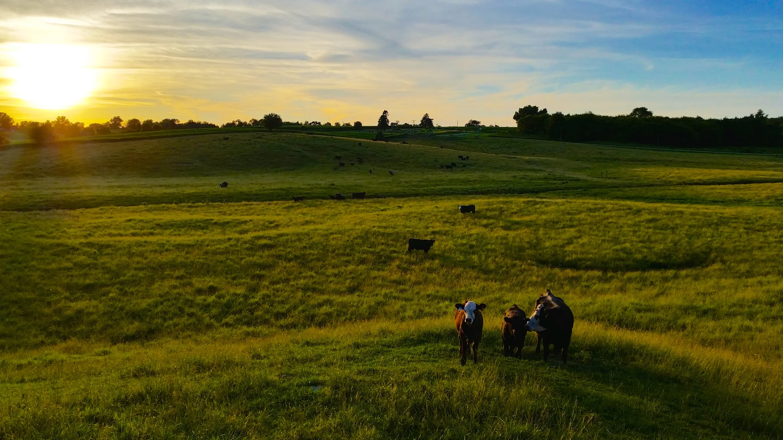 The Coleta Pasture was the first piece of land that Norbert Jakobs purchased when he moved to the United States.