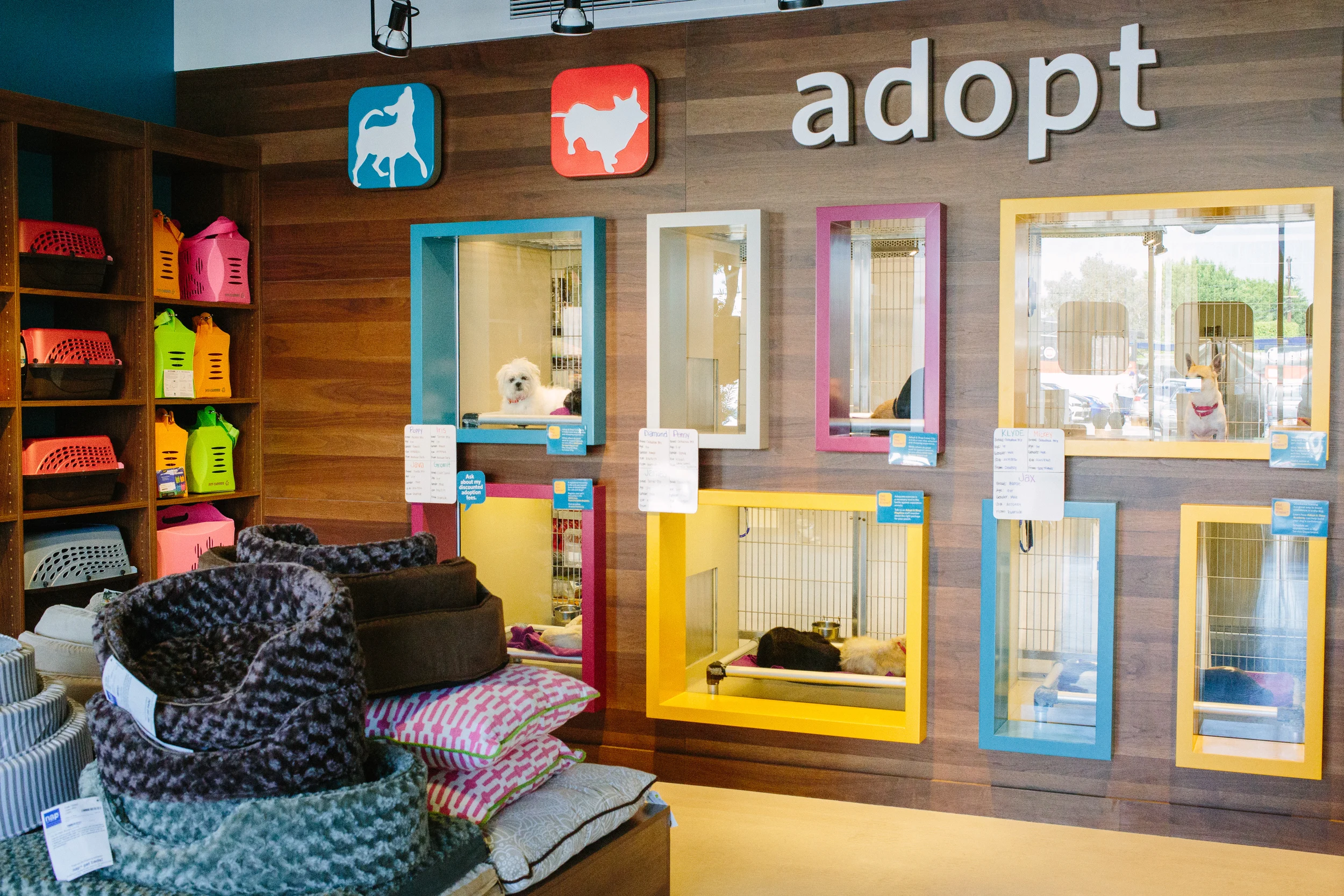 FoundAnimals_Feb2015_jenniferleahy-064.jpg