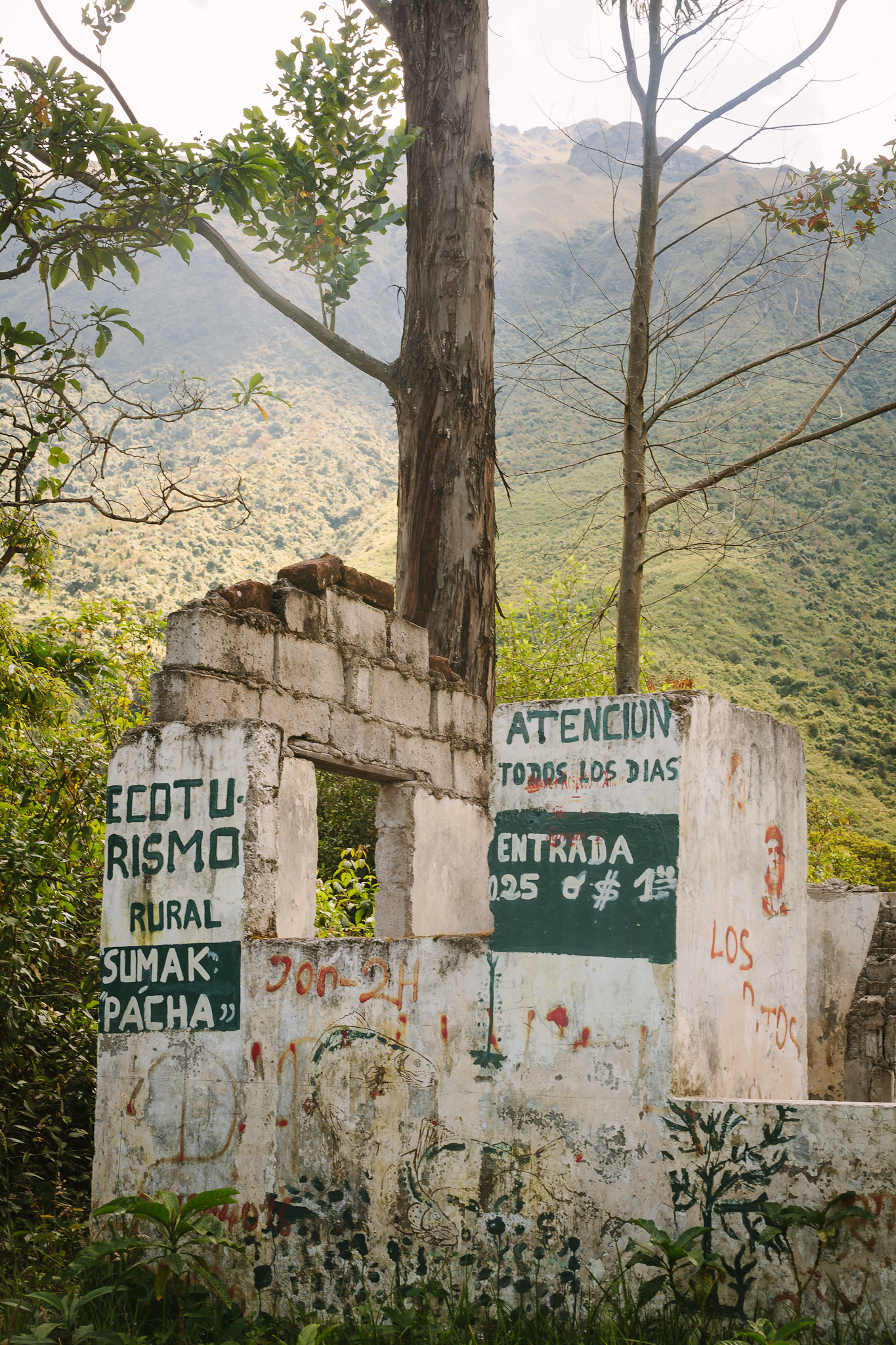 Ecuador2011_Mountains&Sea_Web_jenniferleahy-020.jpg