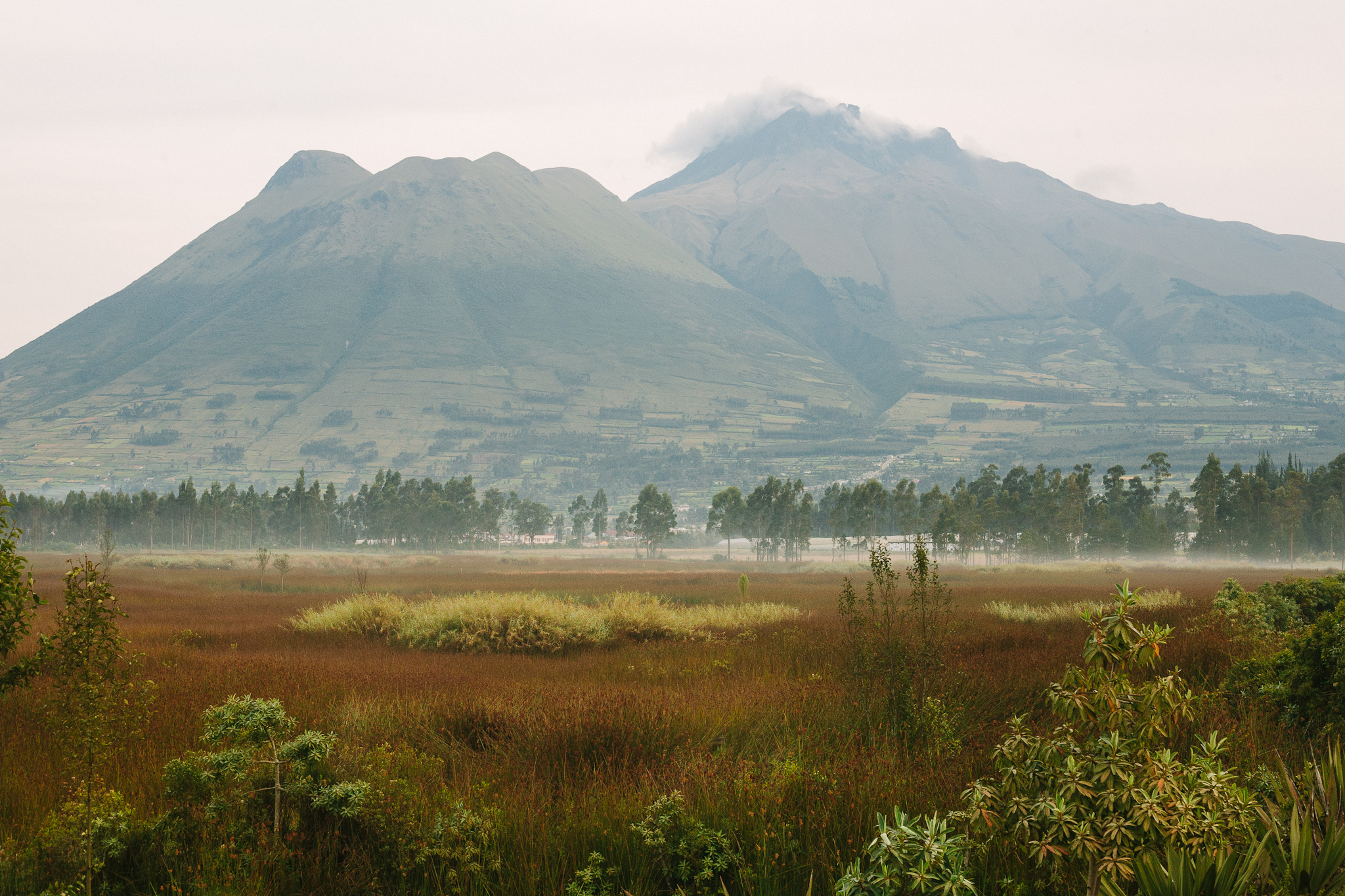 Ecuador2011_Mountains&Sea_Web_jenniferleahy-069.jpg