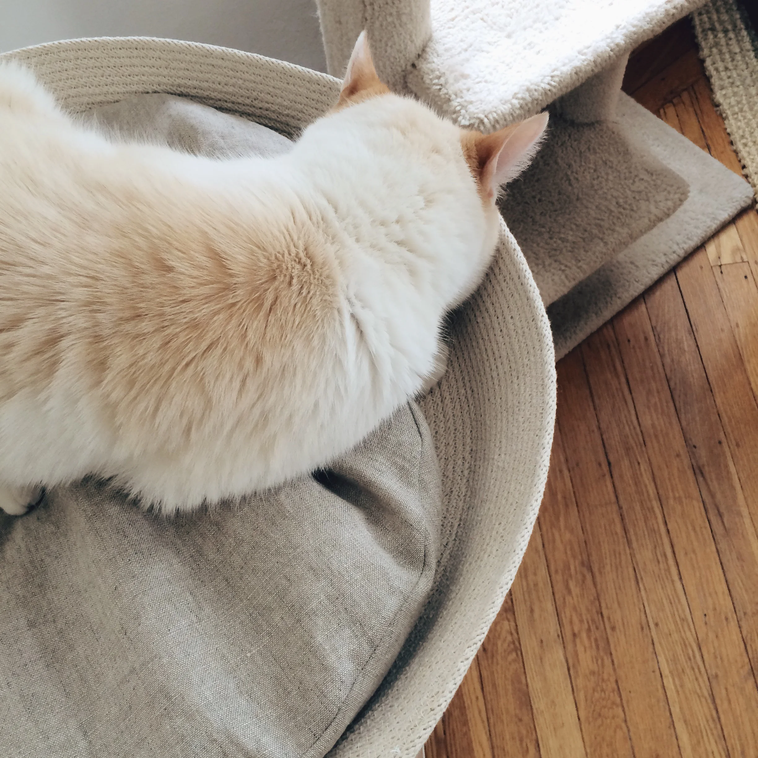 He thoroughly inspects each component for flaws and any interesting odors.