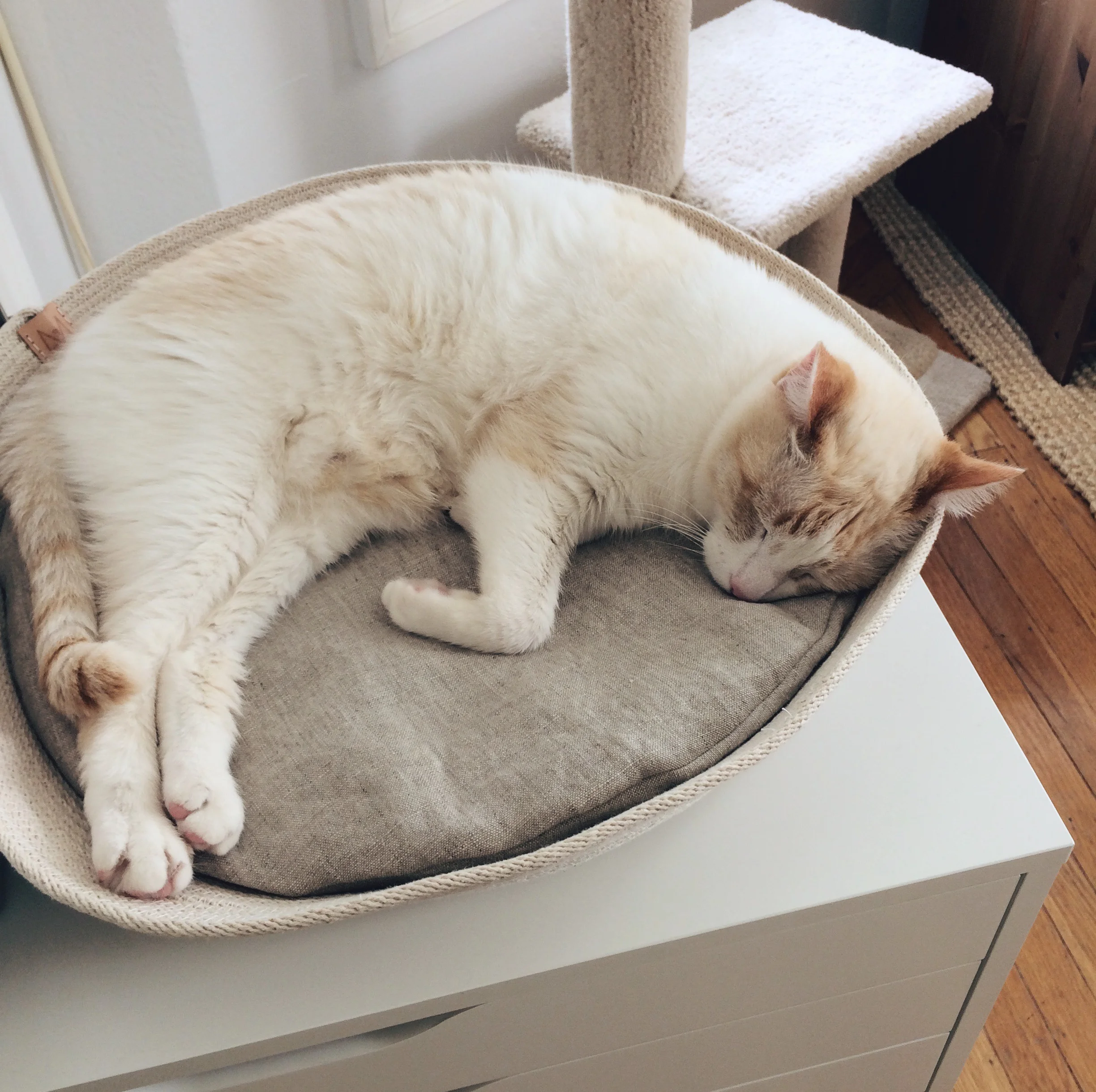…and lying down.