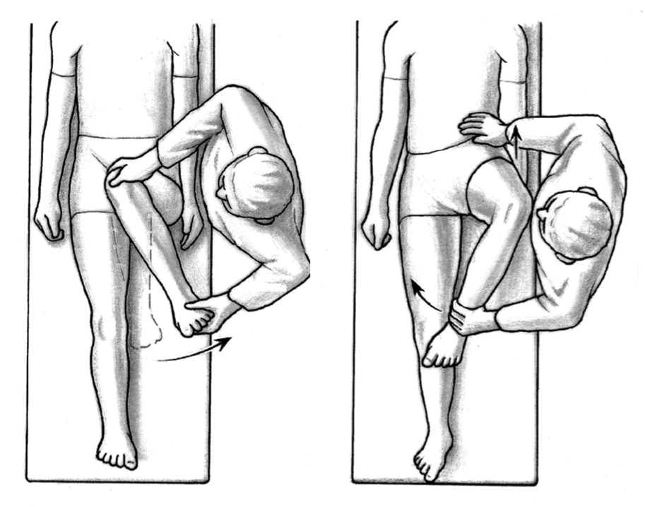 Hip Internal & External Rotation | Midvale UT — Revive Sport & Spine Hip Internal & External Rotation | Midvale UT — Revive Sport & Spine