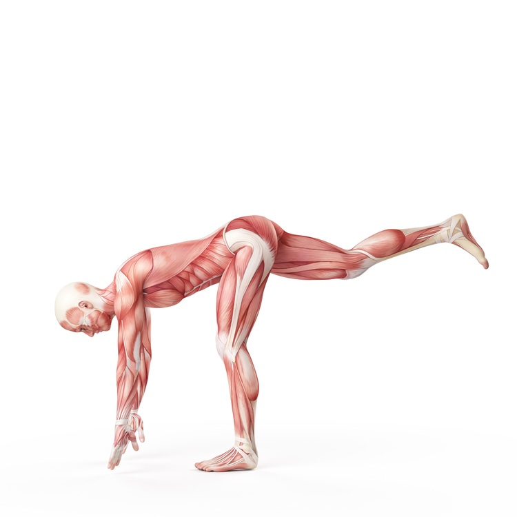 Sciatica_Pain_Relief_Utah_Sports_Chiropractor_Treament_Options.jpg
