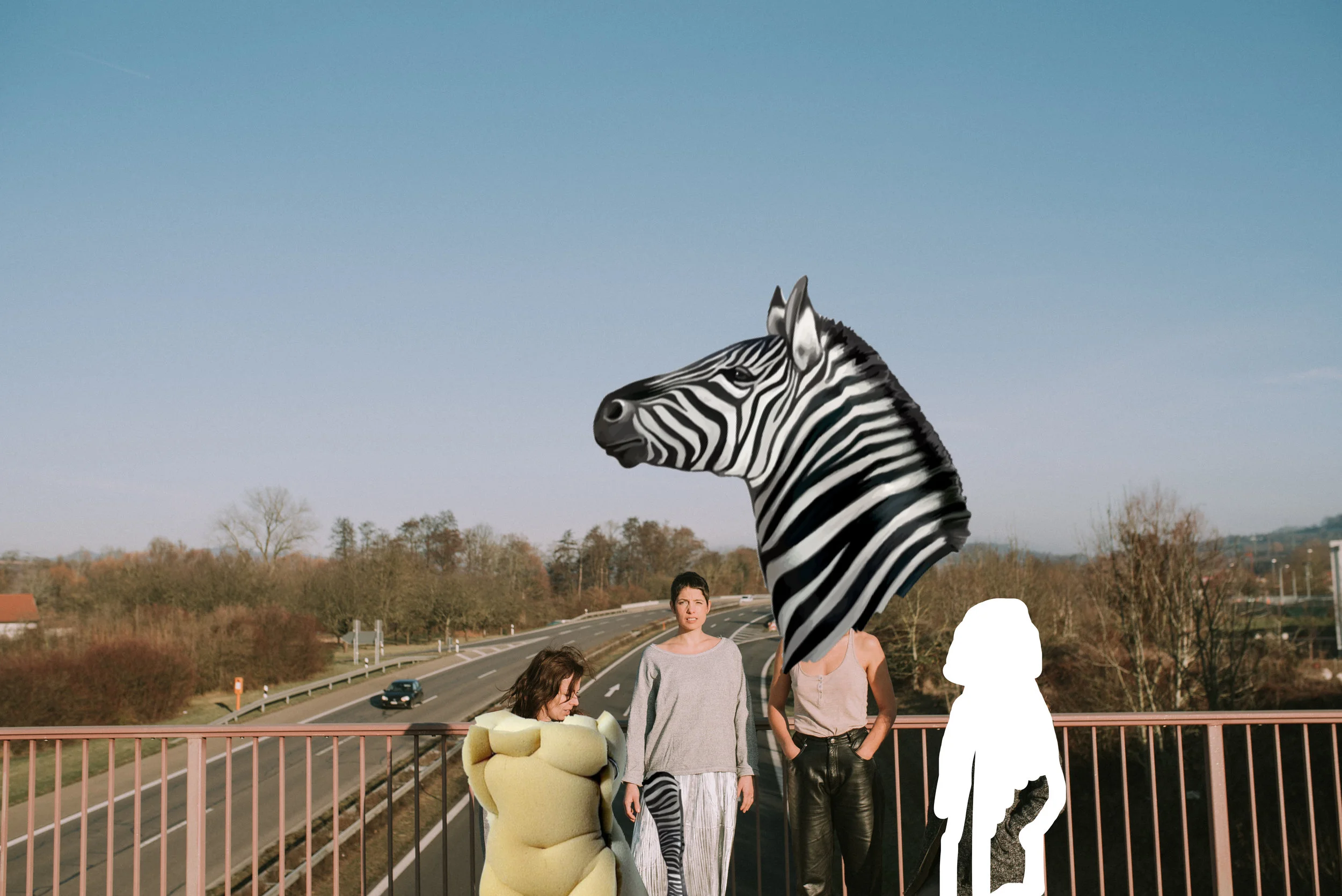 collage ZEBRA Magdalena Weniger.jpg