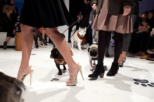 Inside Thursday’s Paws for the Cause gala: