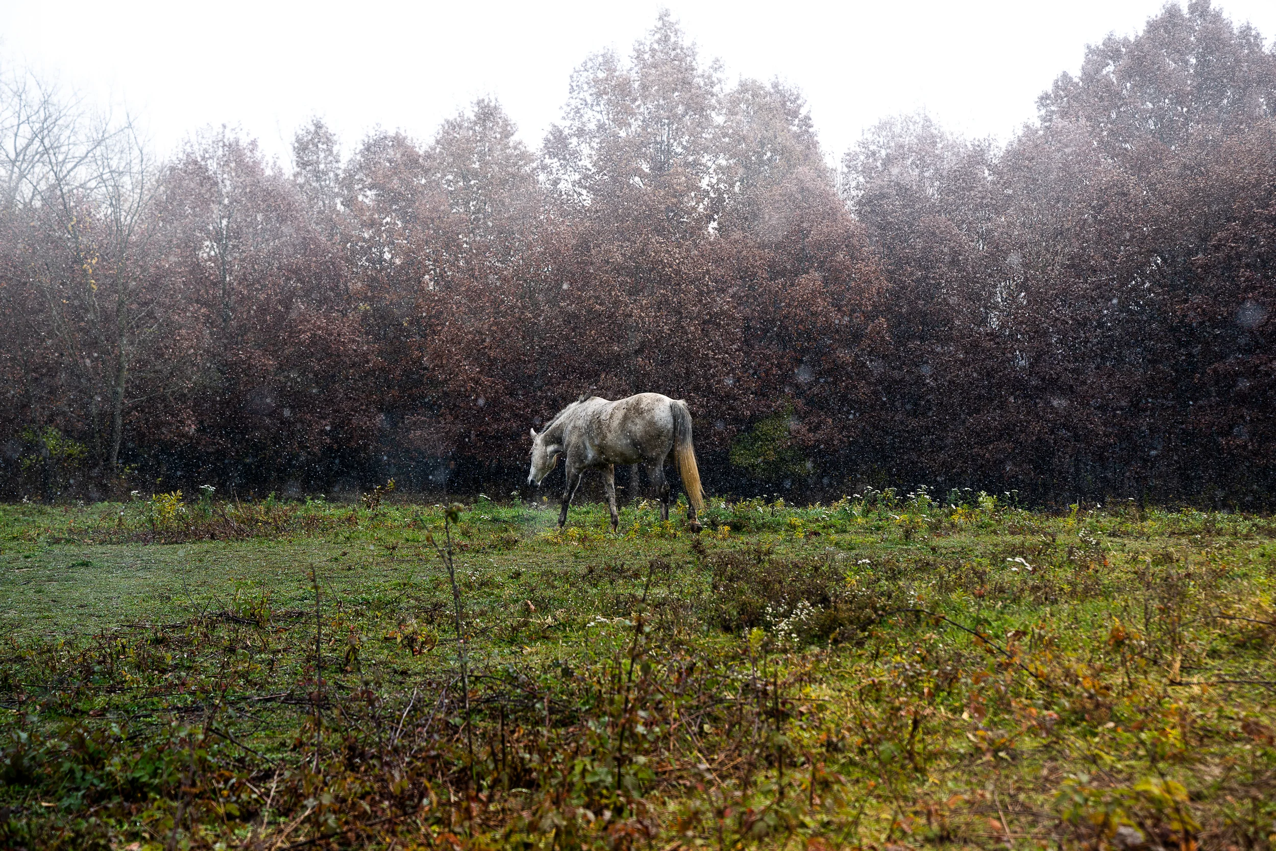 2018.11_Truenorth_Snow_Picks-28.jpg