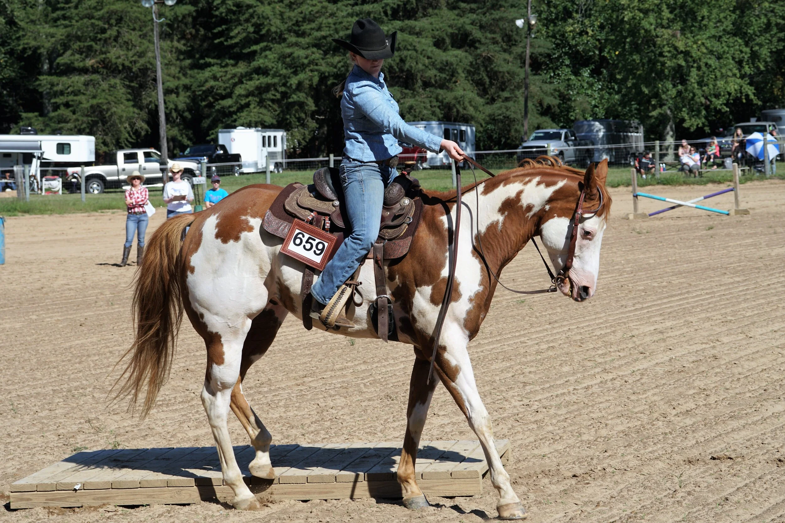 Calendar — True North Training Stables