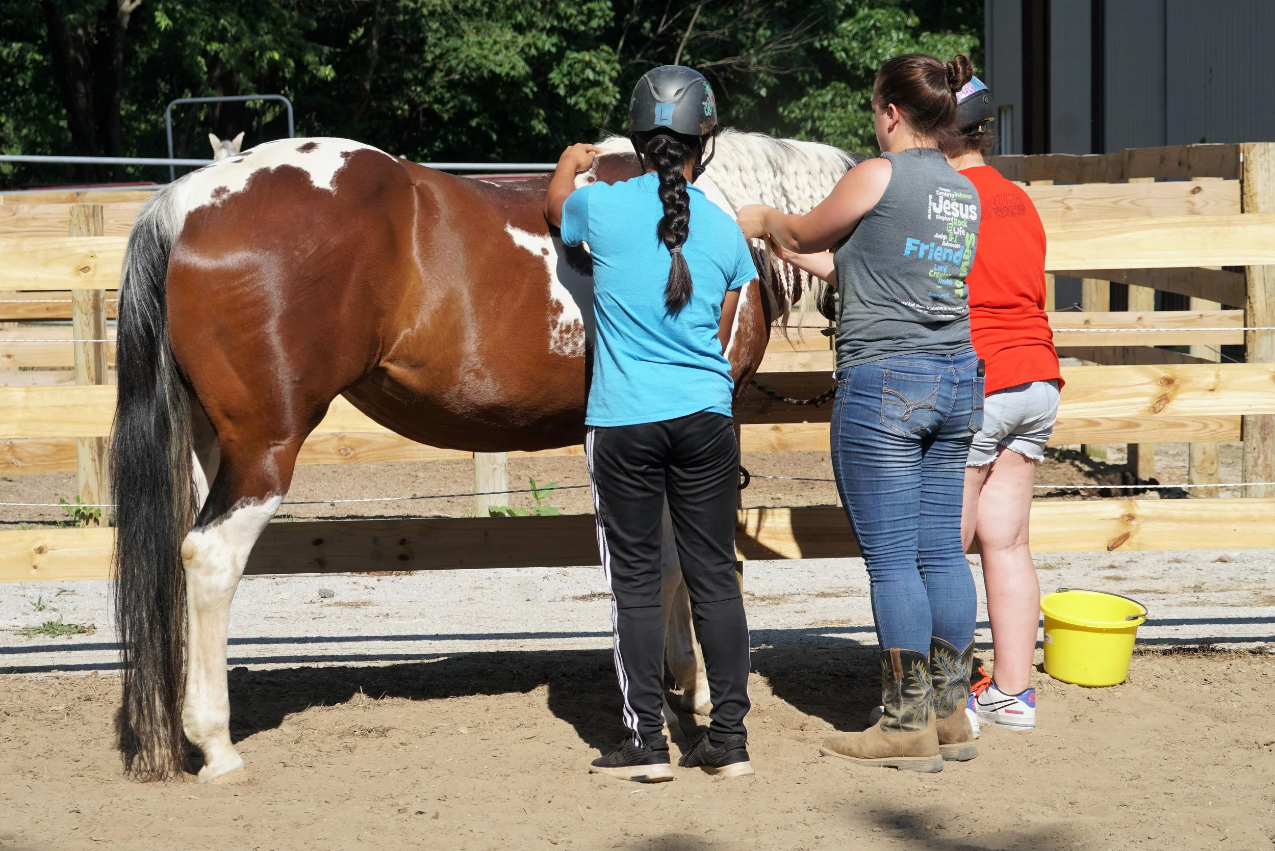 Mission — True North Training Stables