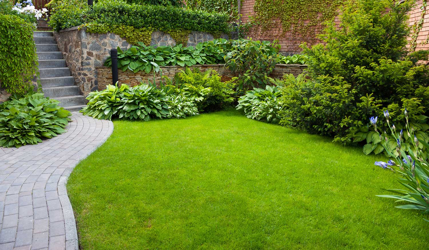 Organic Lawn Hot Sale, 50% OFF | www.viatgesbertfe.com