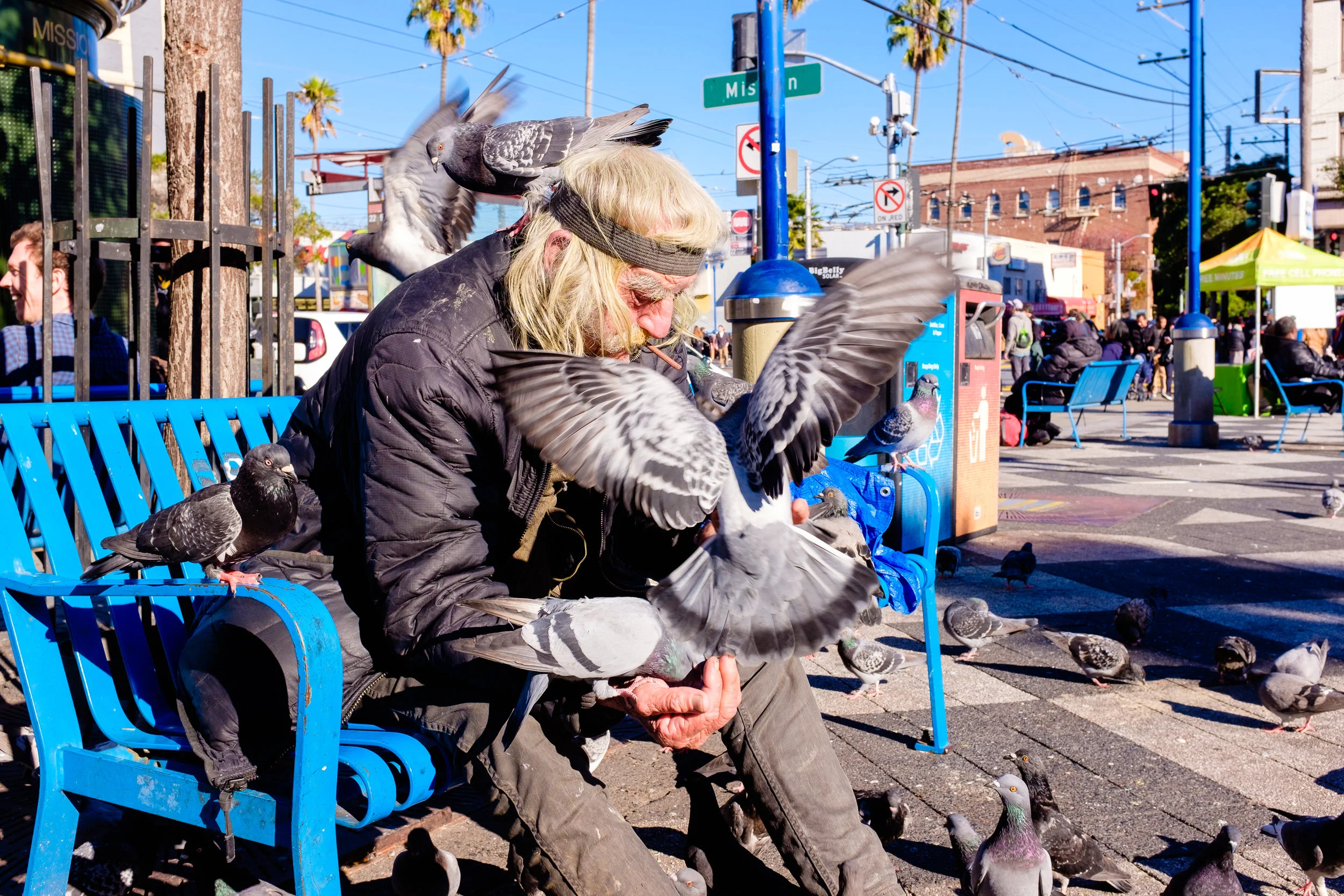 DSCF8620.jpg