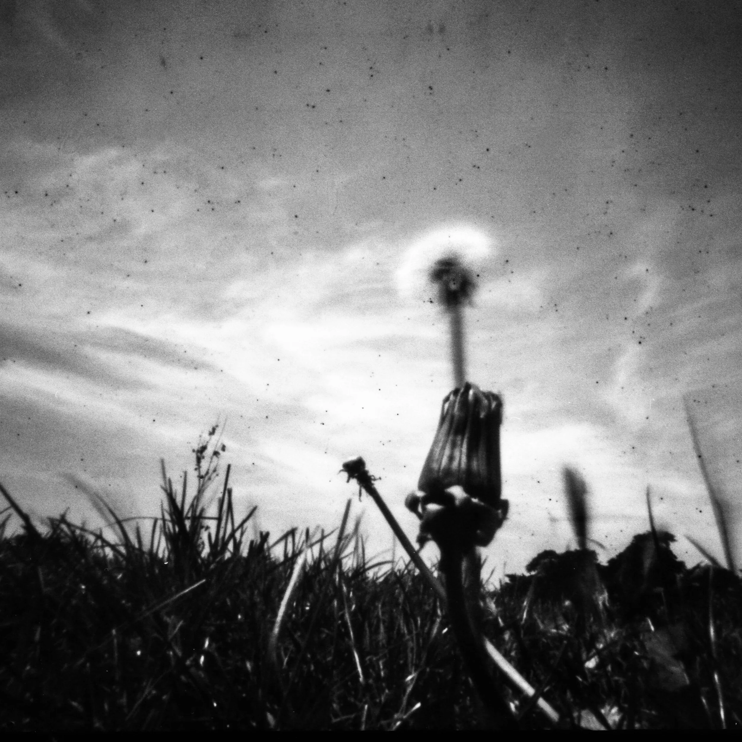 Pinhole day-1.jpg