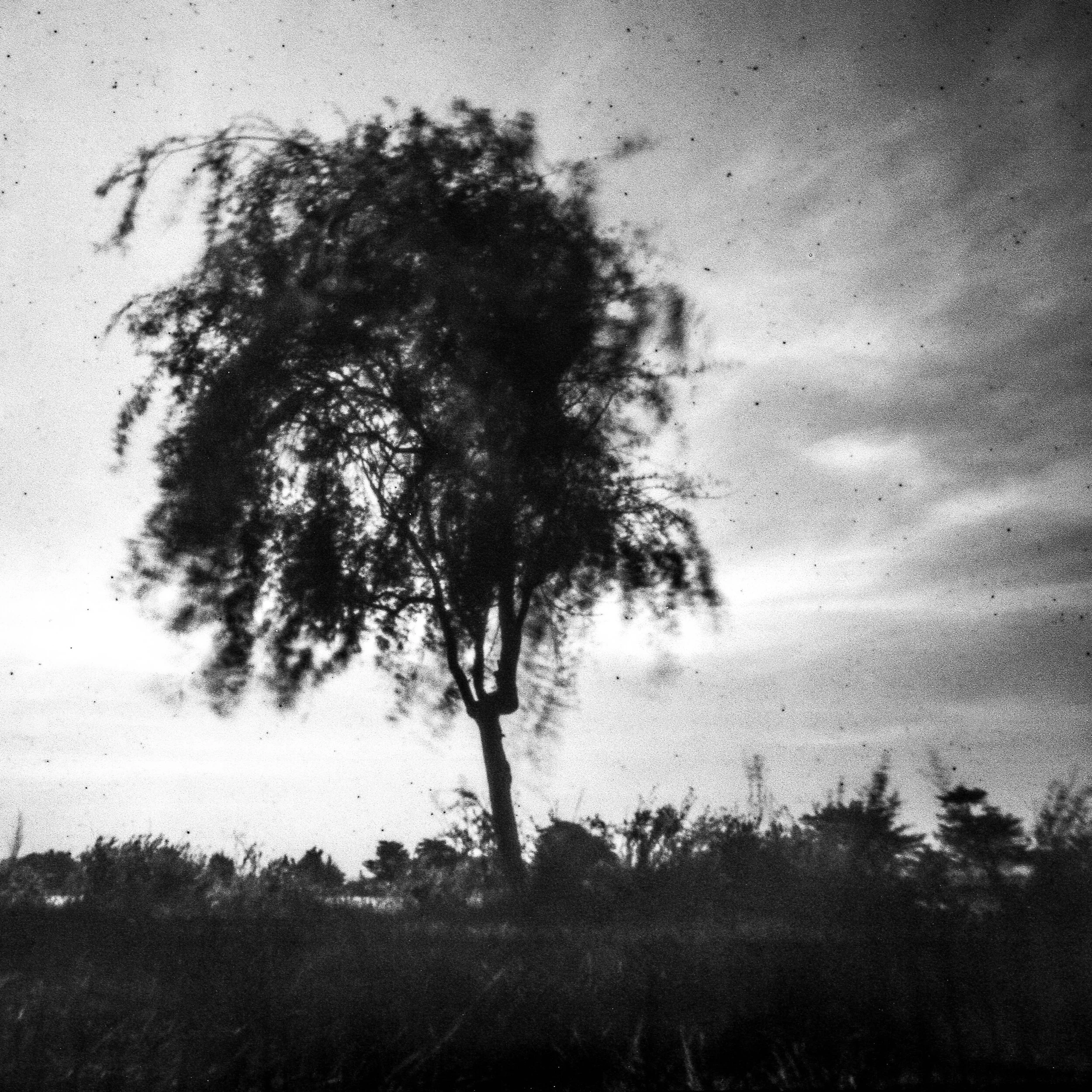 Pinhole day-2.jpg