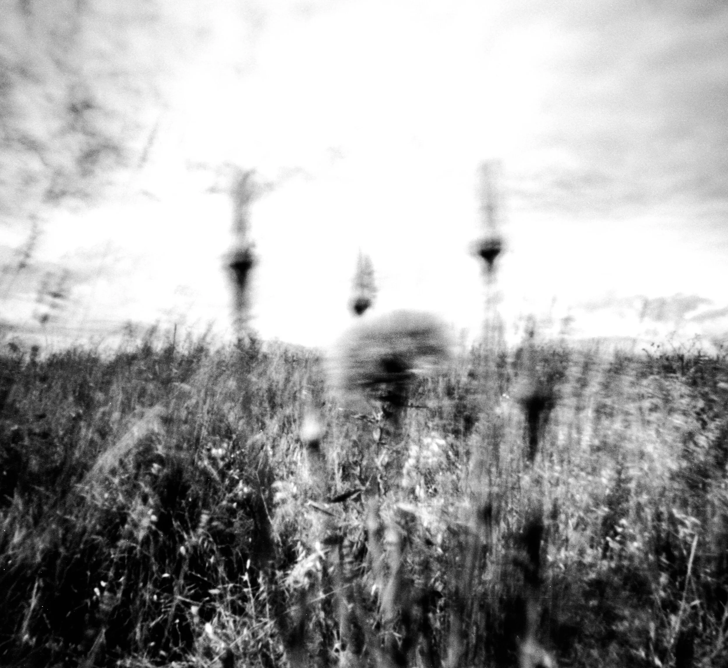 Pinhole may 12-1.jpg