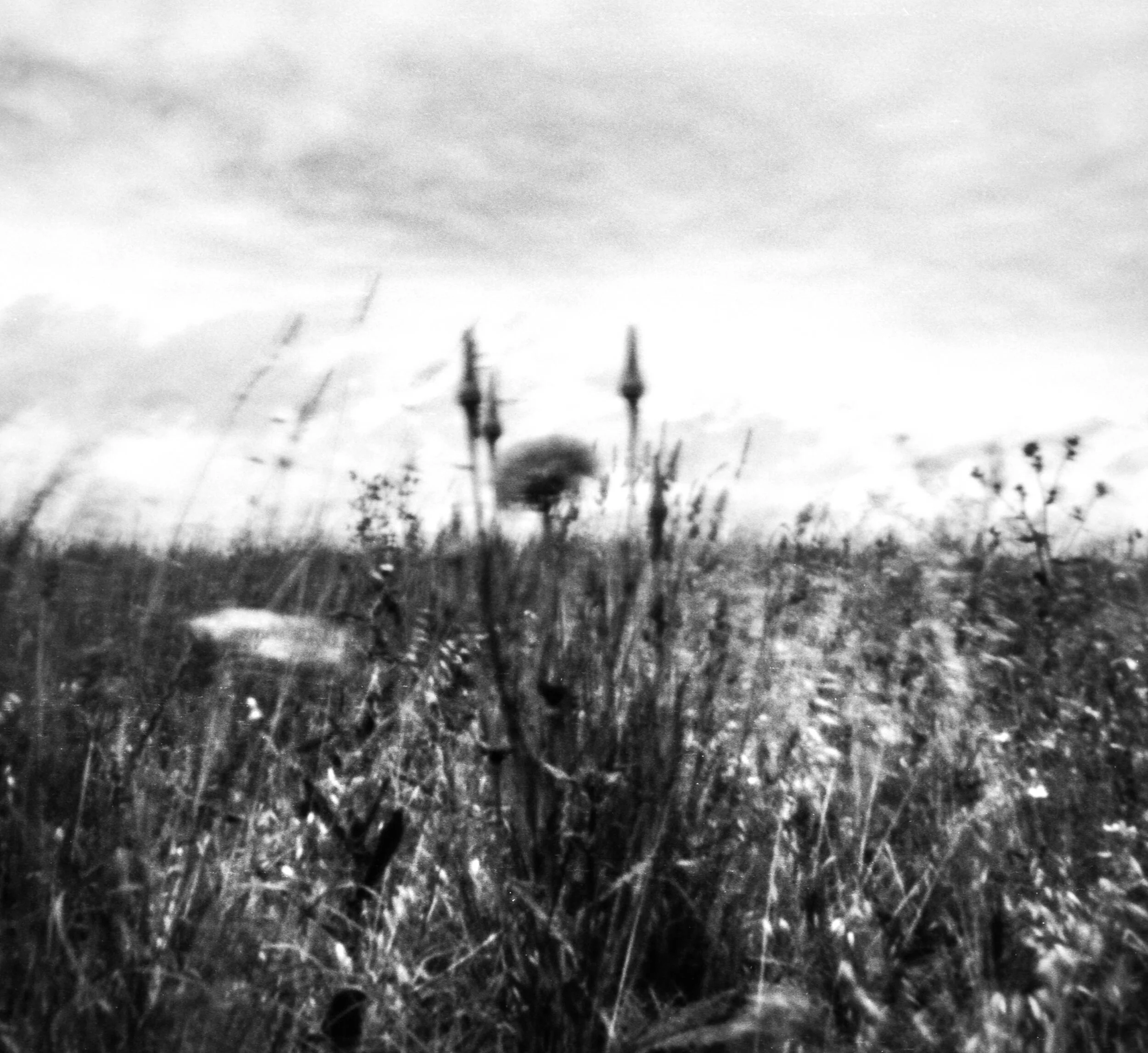Pinhole may 12-3.jpg